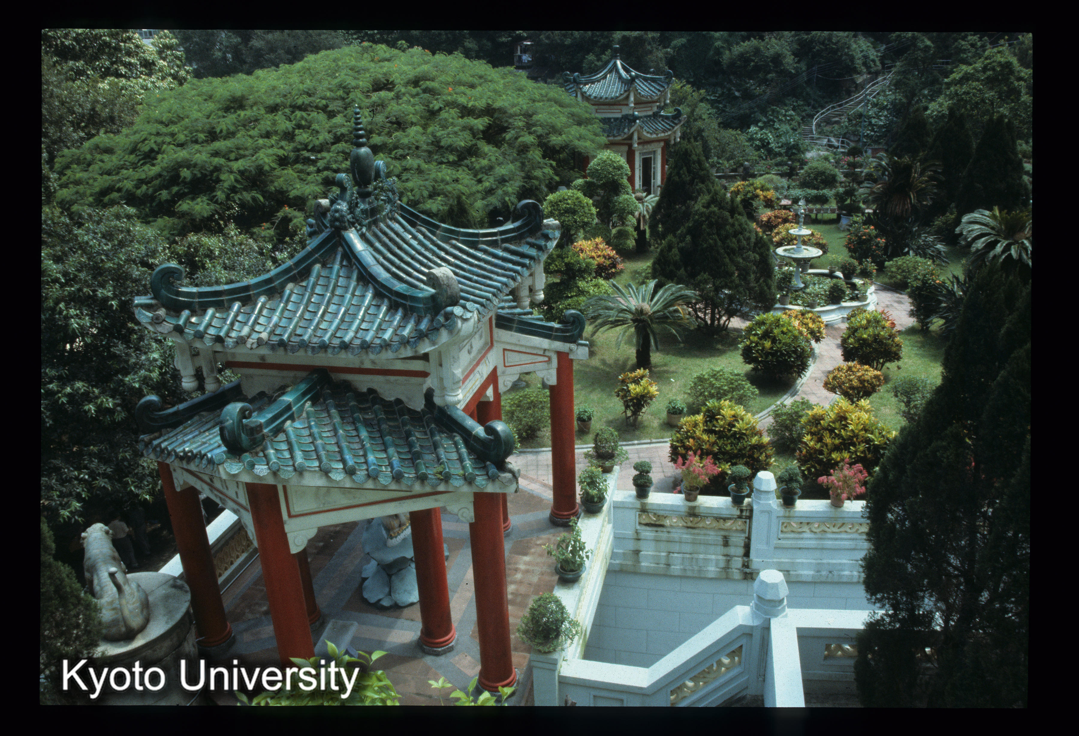 15_Tiger Baum Garden_26 (1)