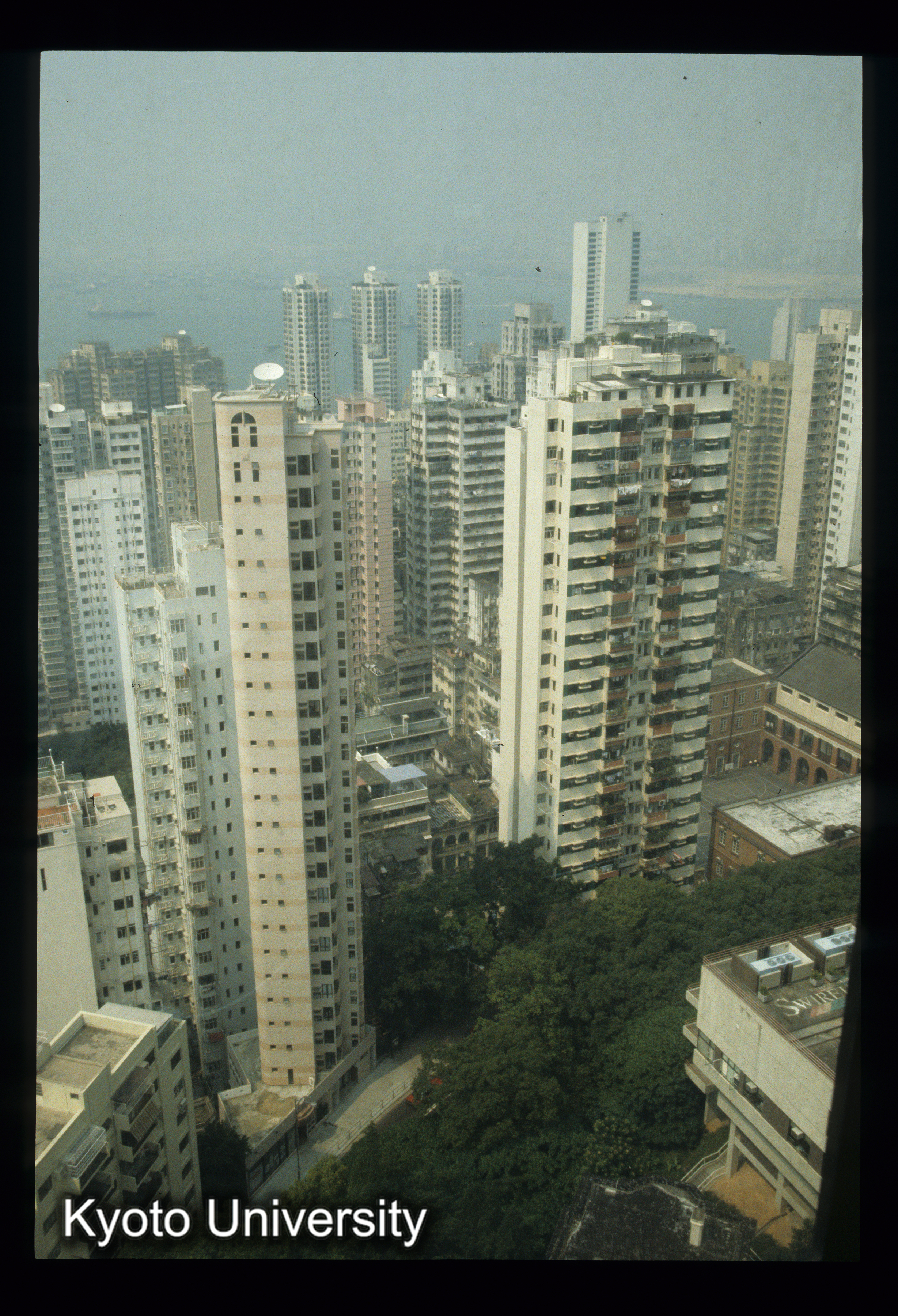 121_香港大学_95 (1)