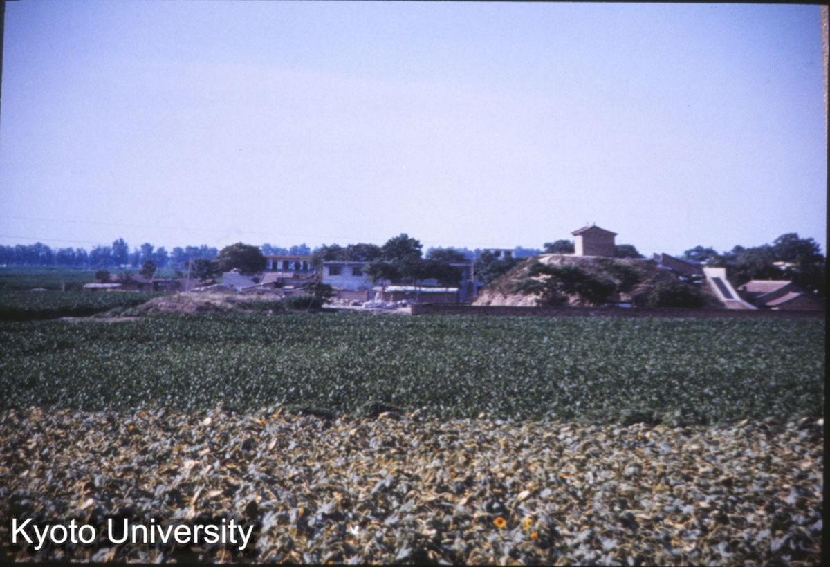 401_大明宮 太液池 蓬莱山址 (1)
