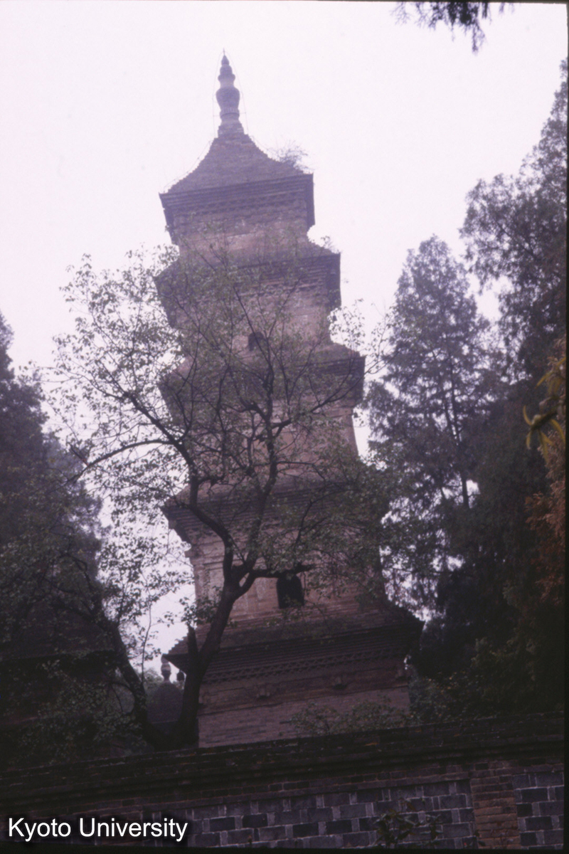 460_興教寺 玄奘塔 (1)