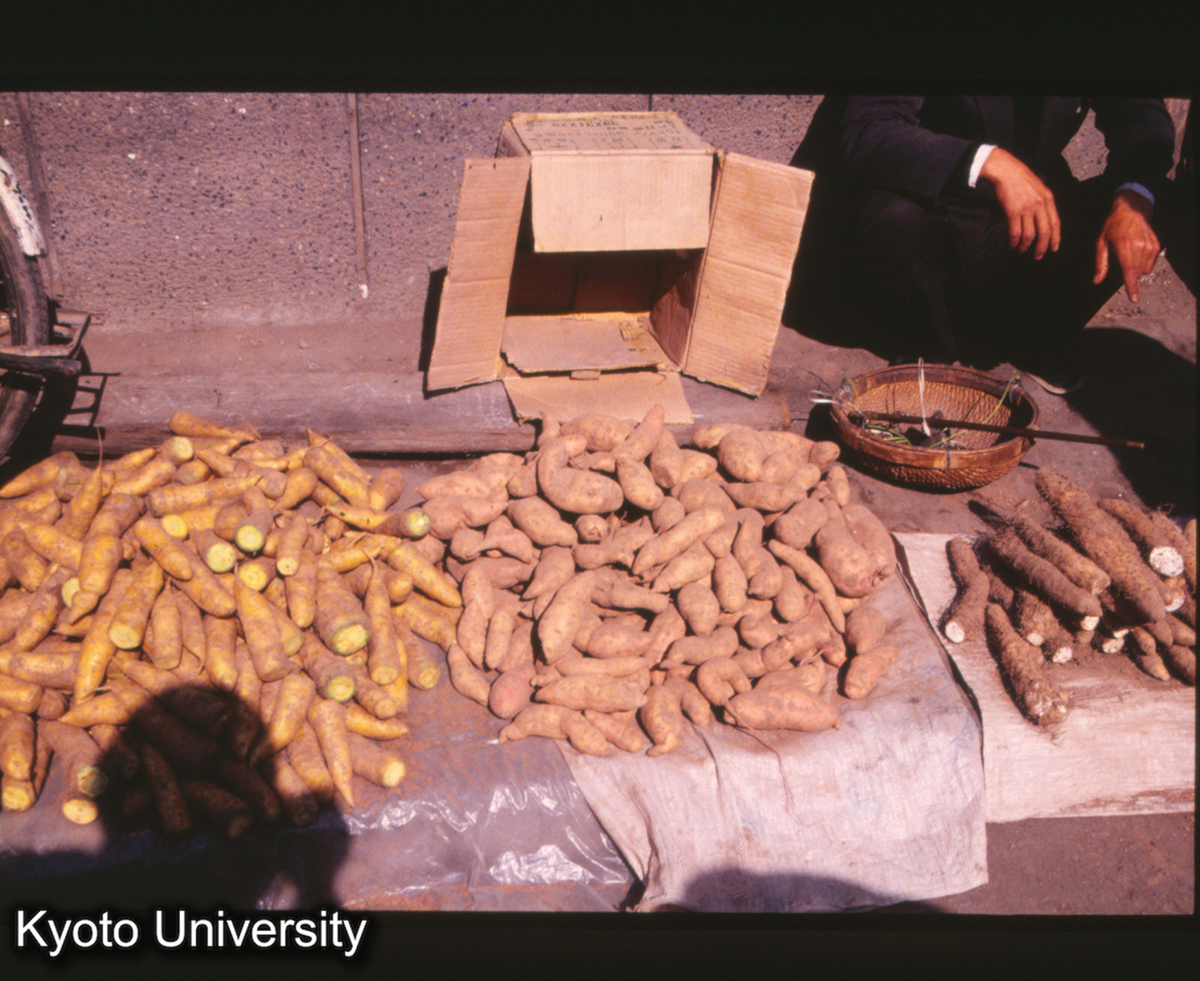 909_平遥城内 (1)