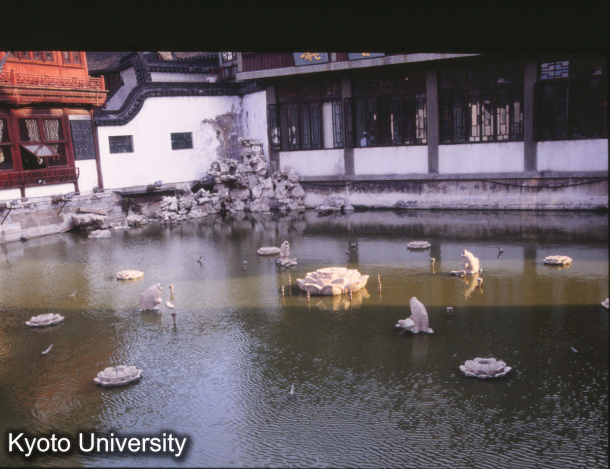 1159_石芙蓉 予園 (1)