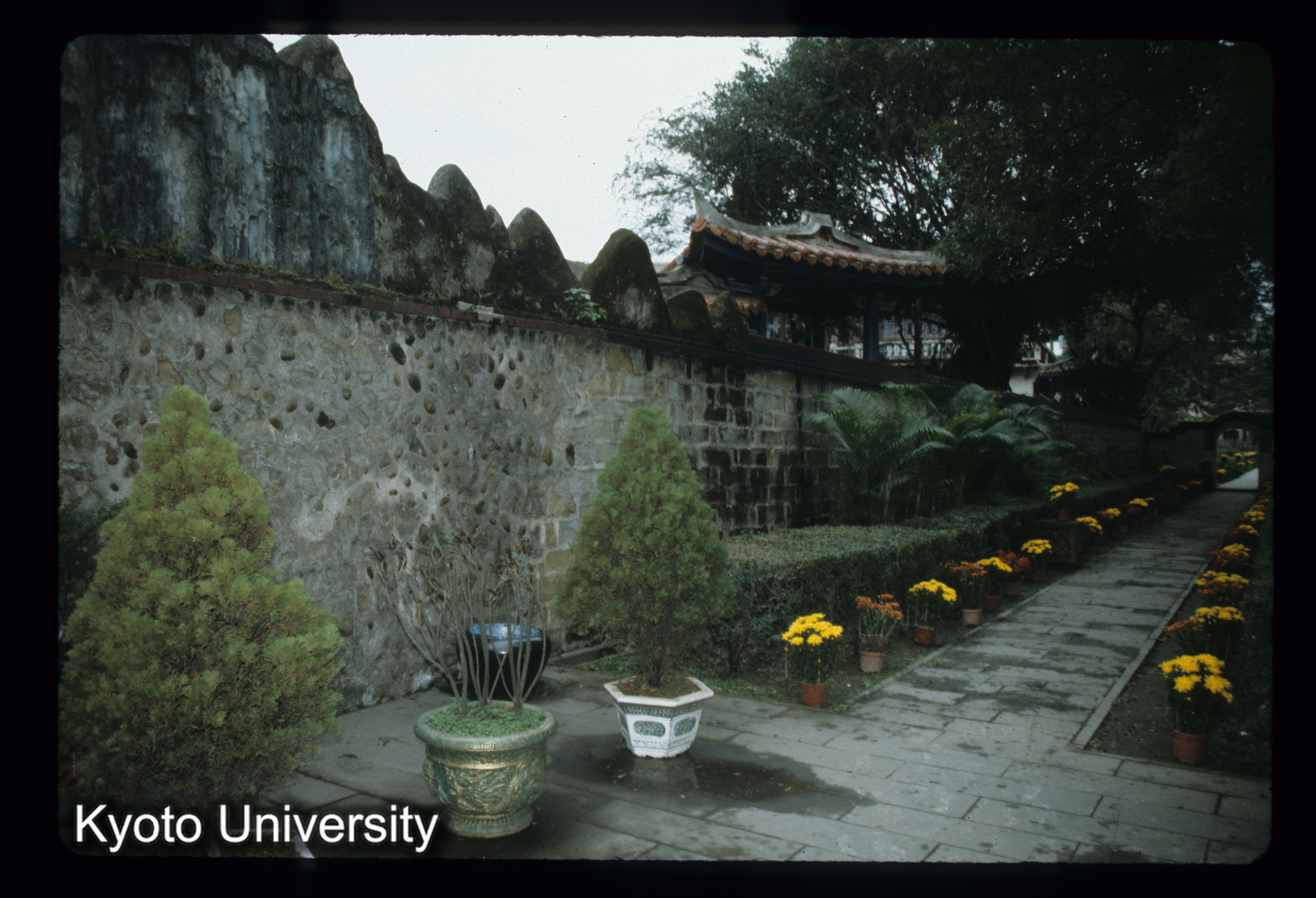 ［スライド］ (1)