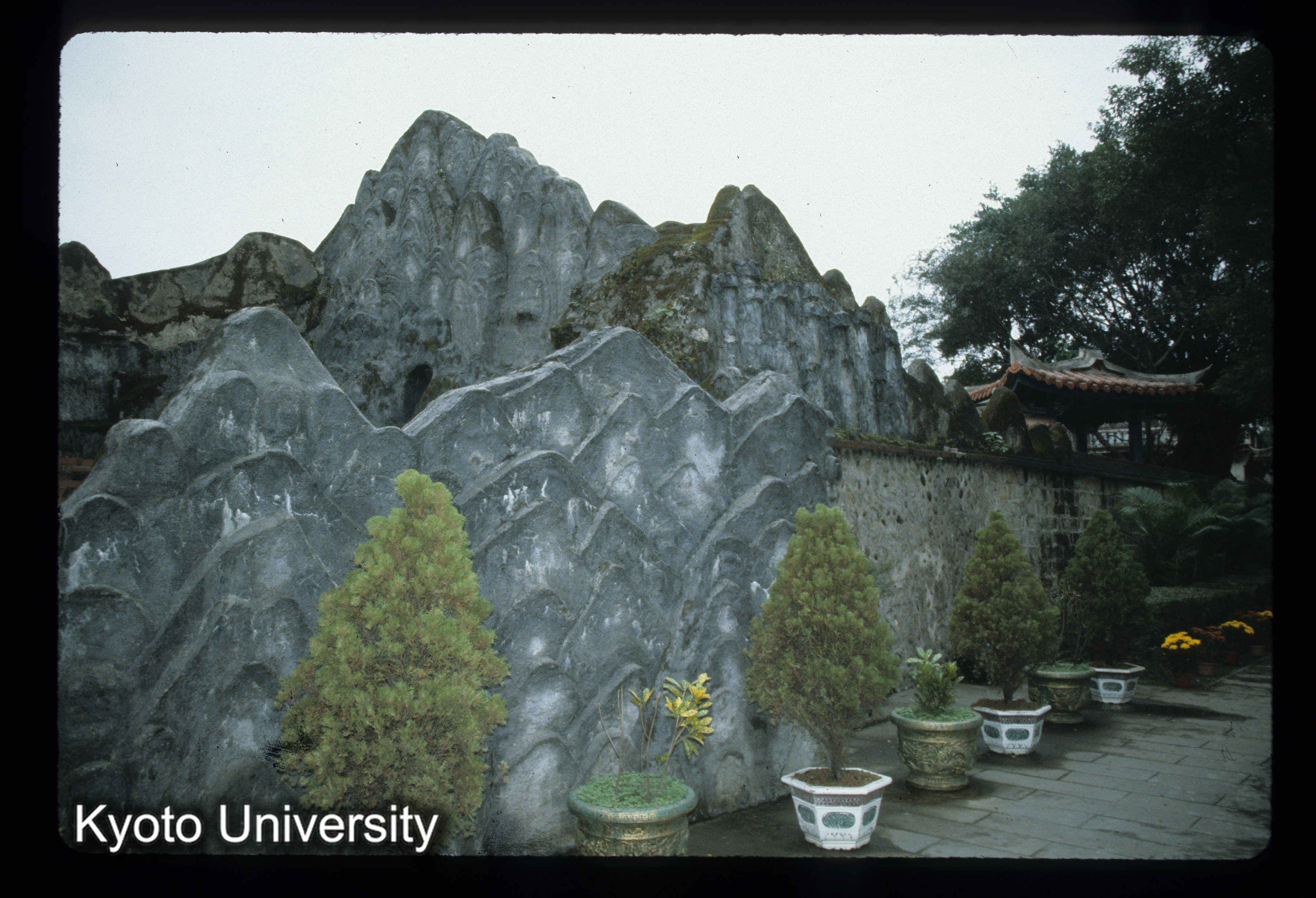 ［スライド］ (1)