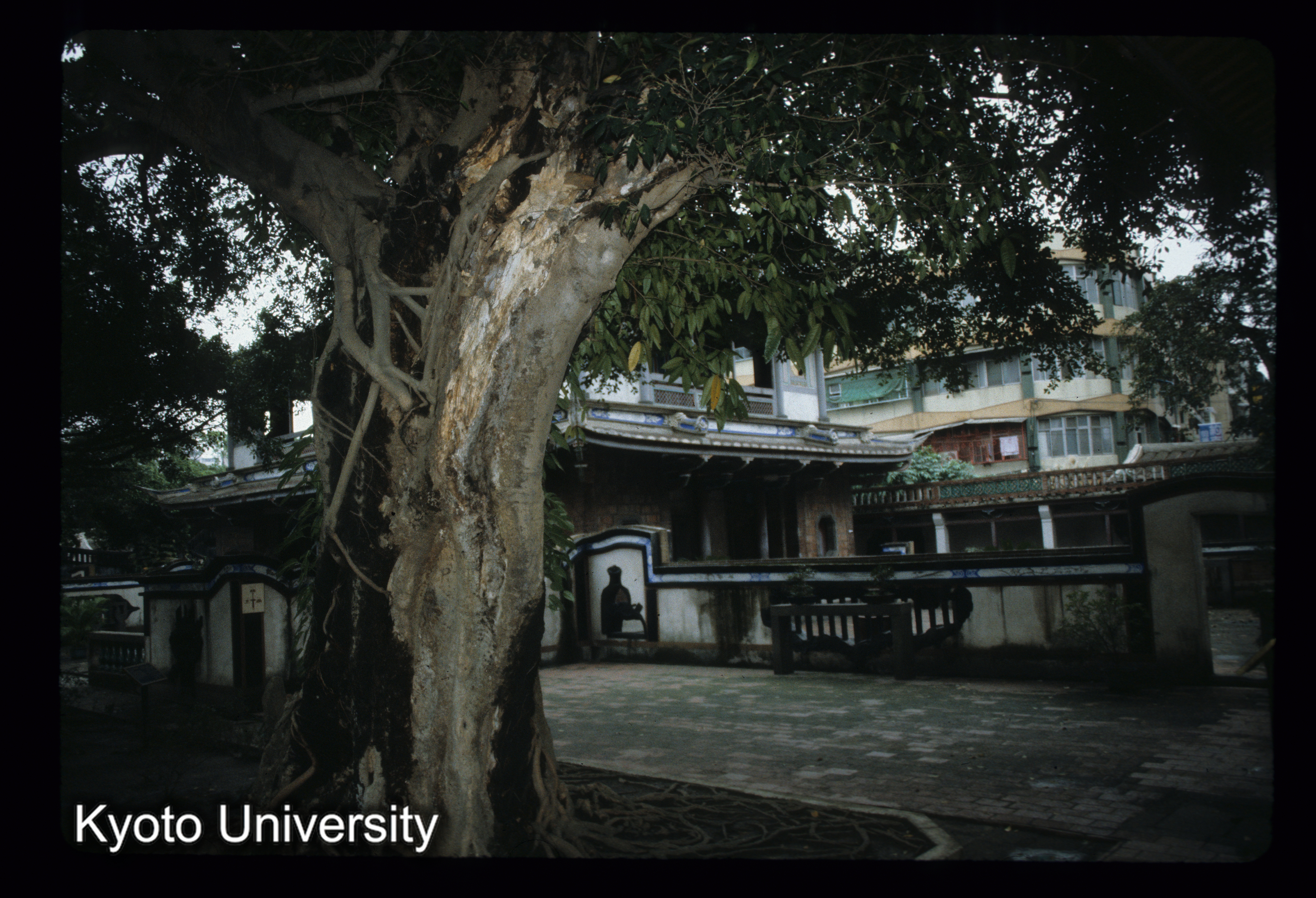 ［スライド］ (1)