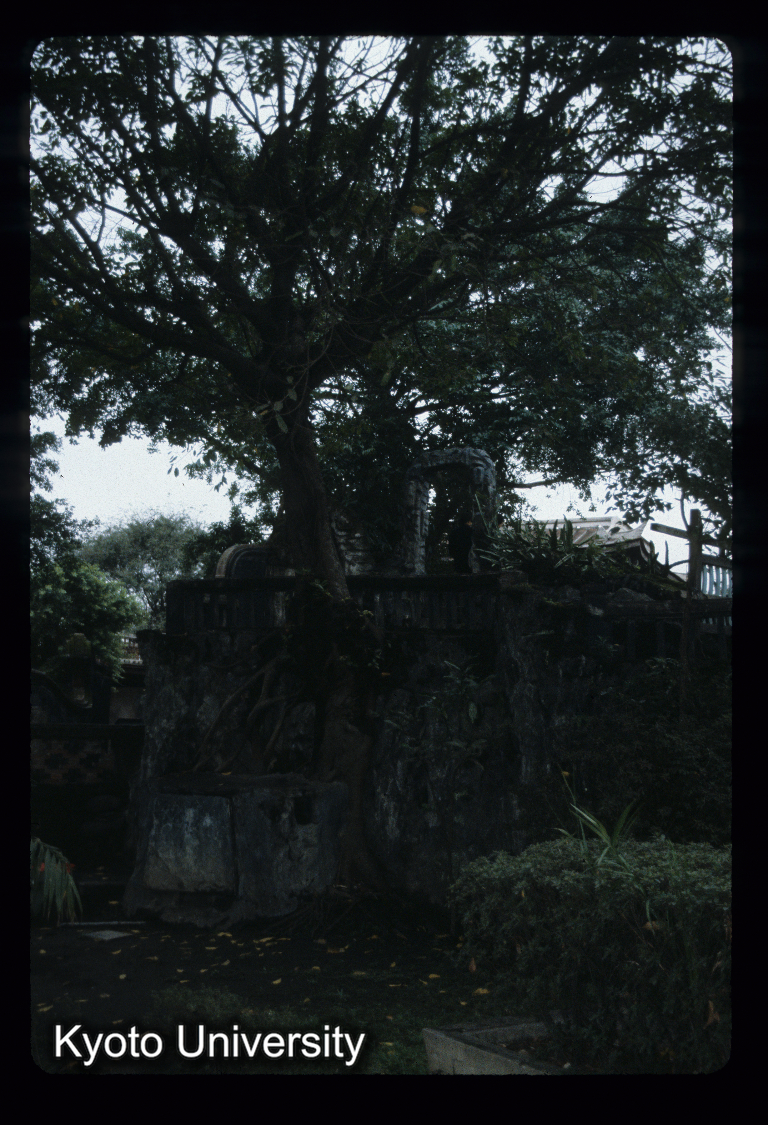 ［スライド］ (1)