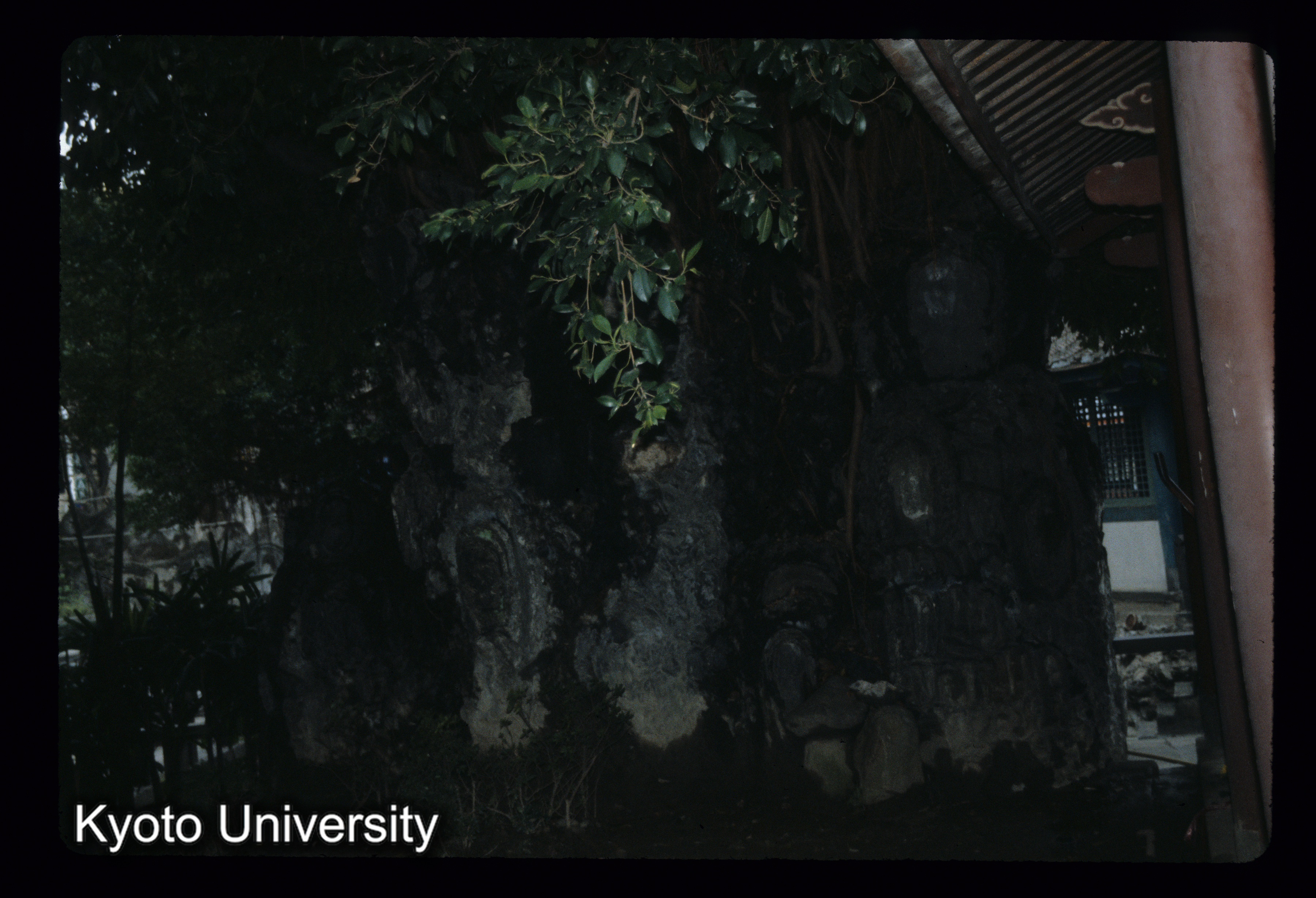 ［スライド］ (1)