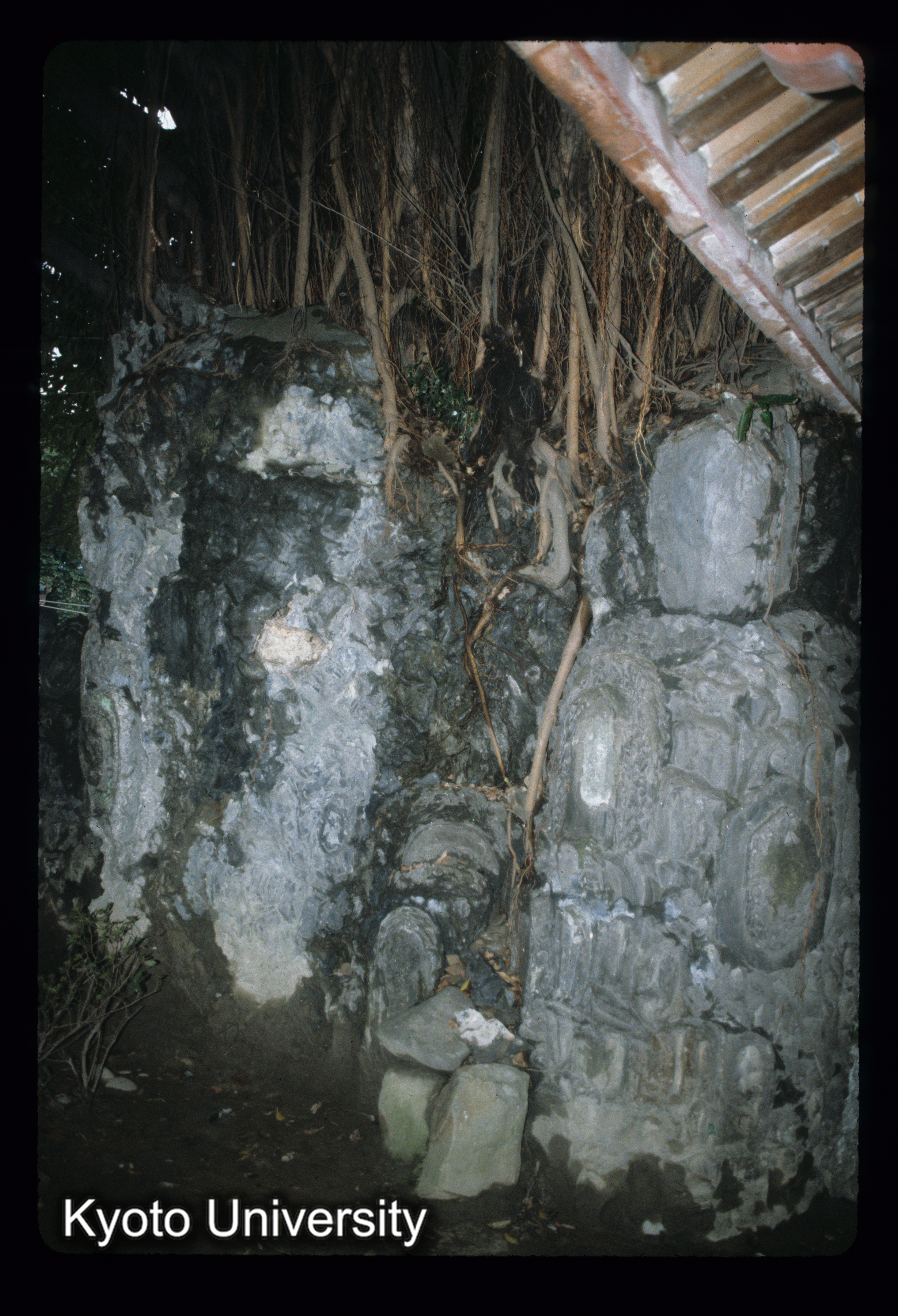 ［スライド］ (1)