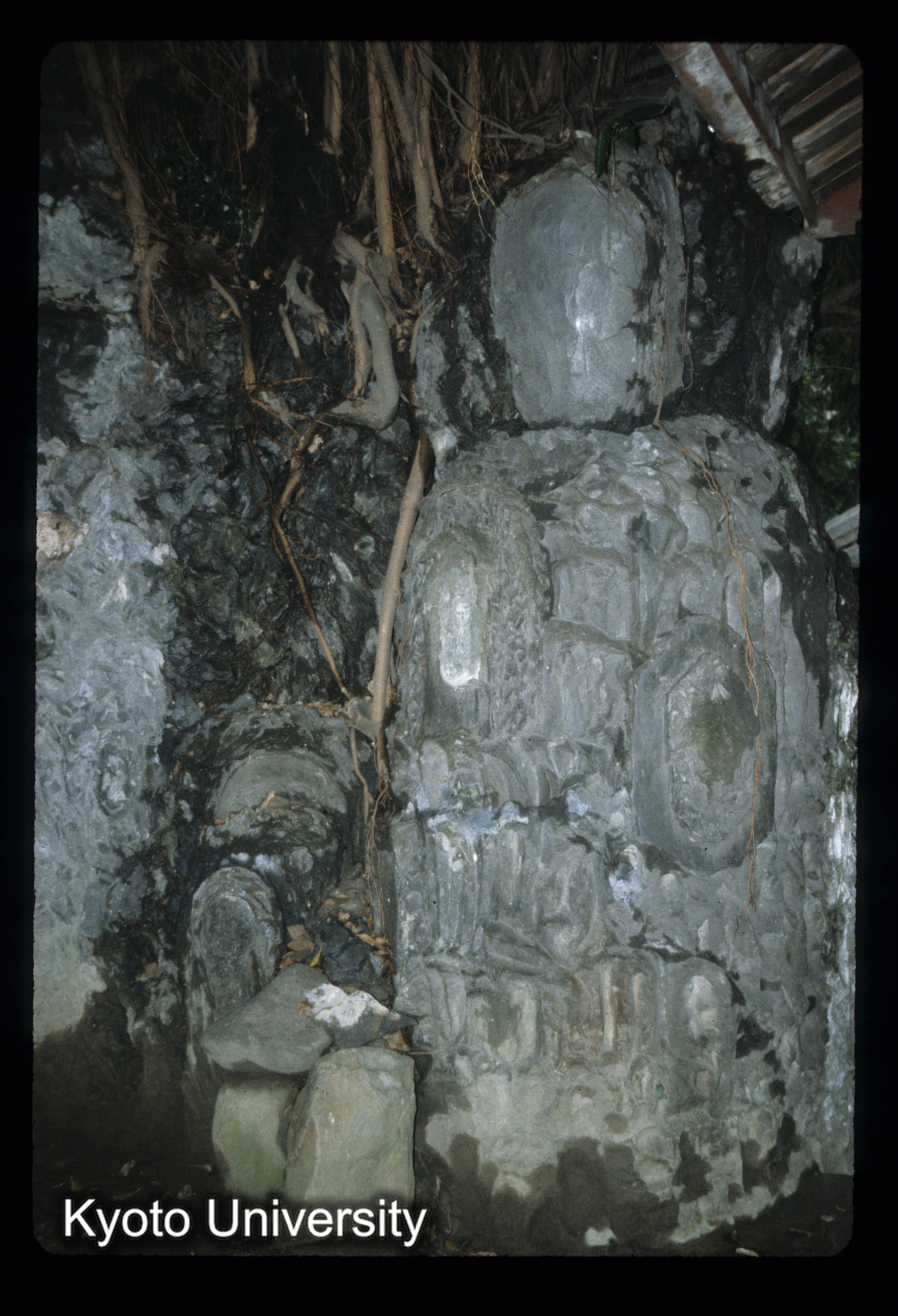 ［スライド］ (1)