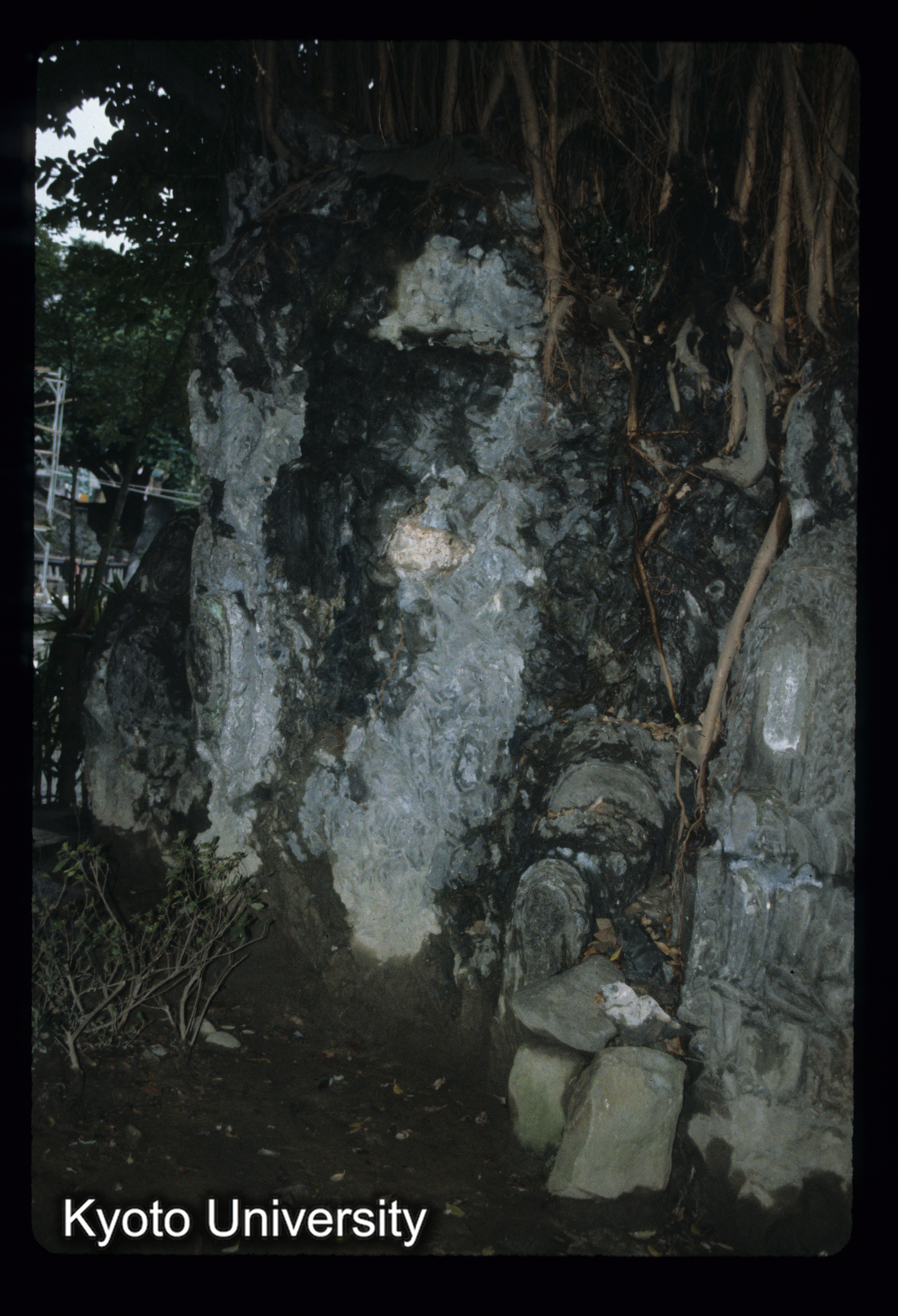 ［スライド］ (1)