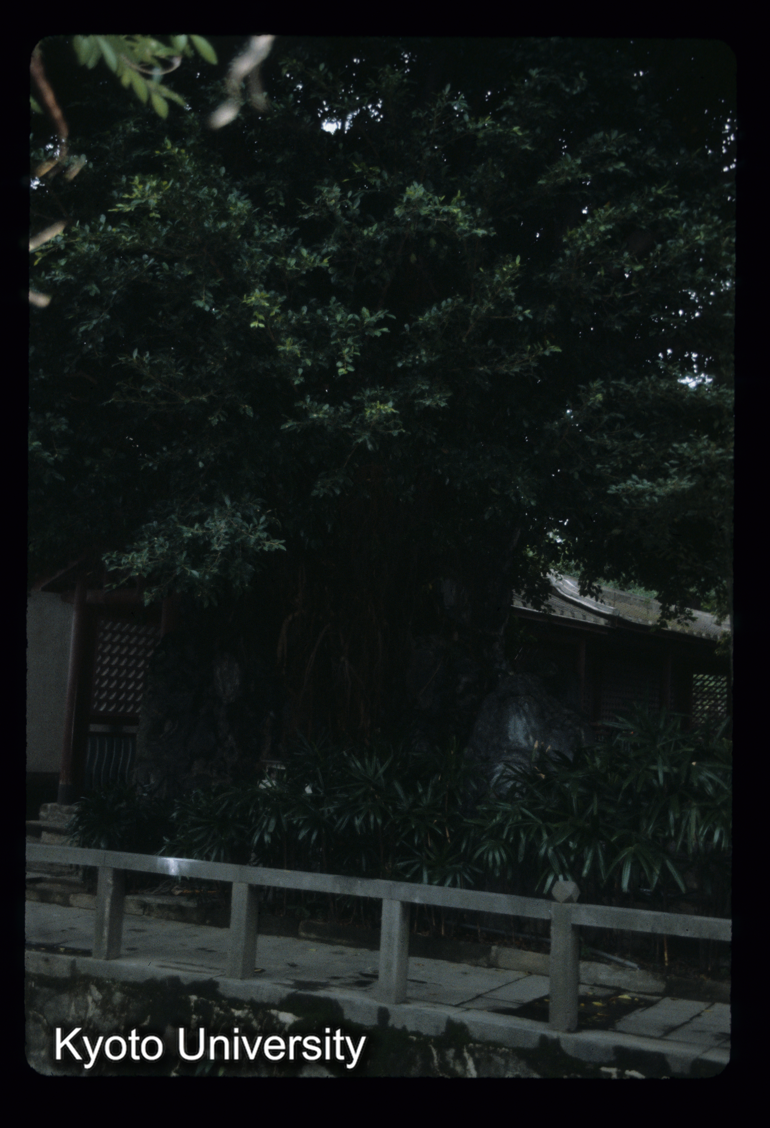 ［スライド］ (1)