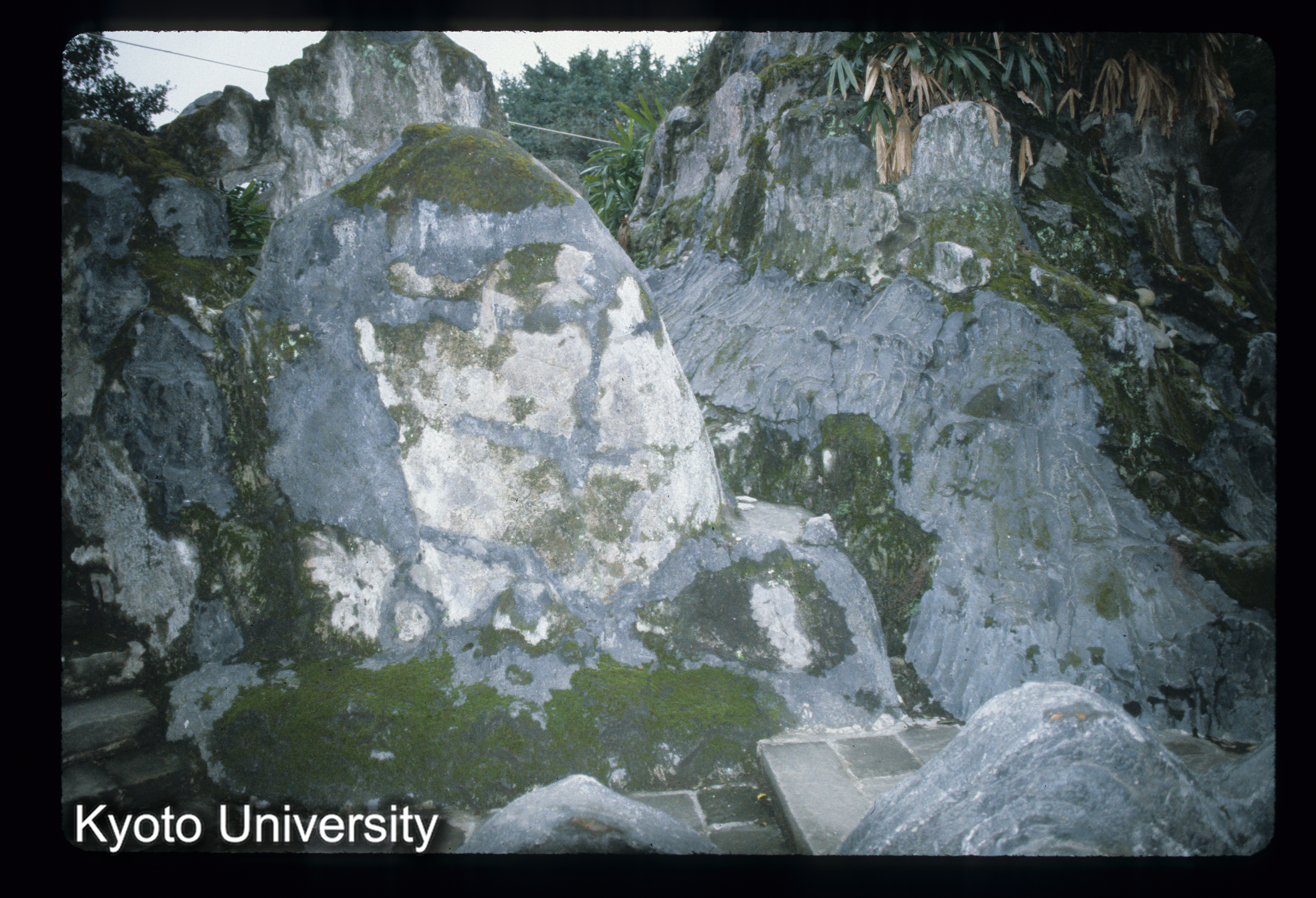 ［スライド］ (1)