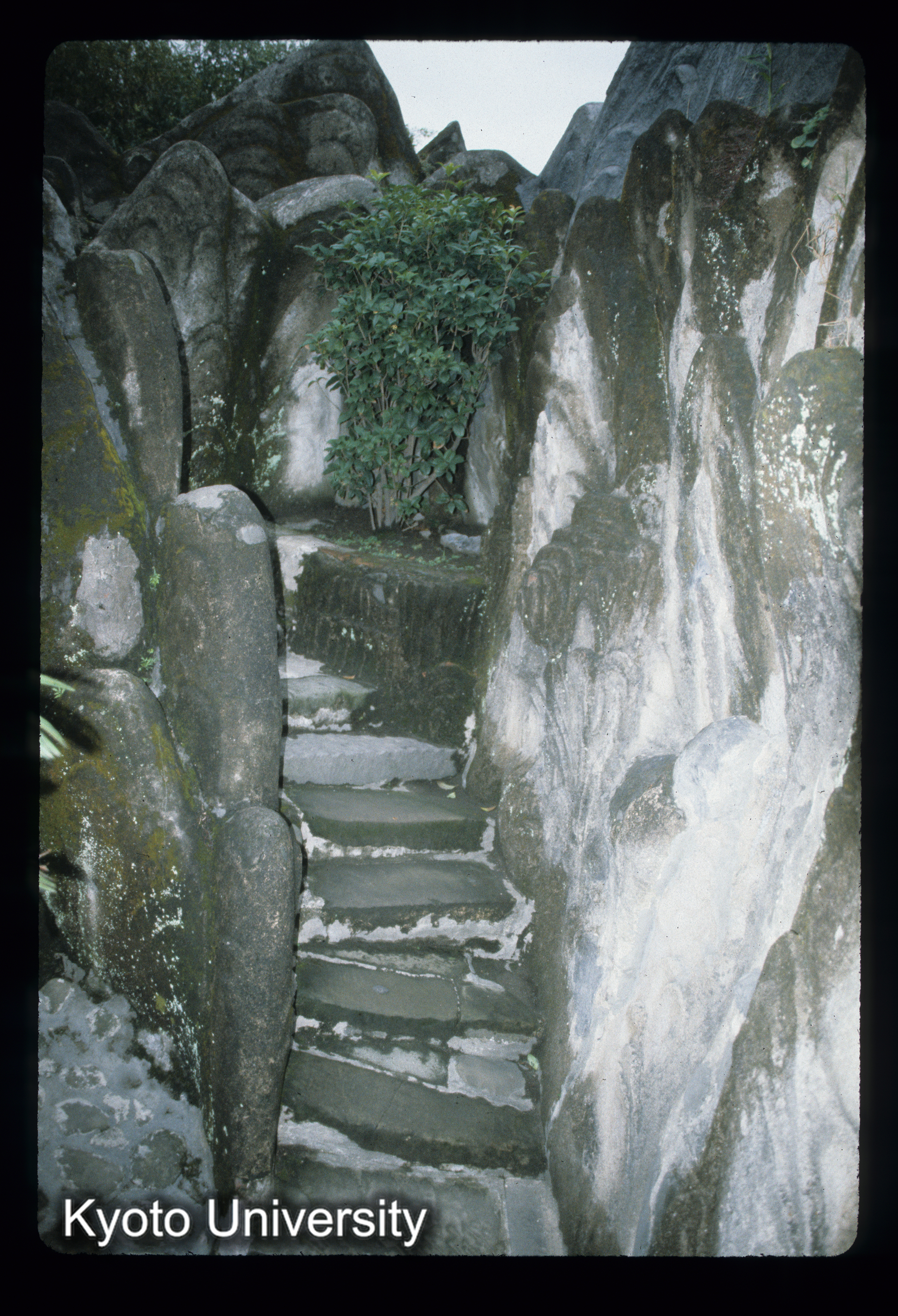 ［スライド］ (1)