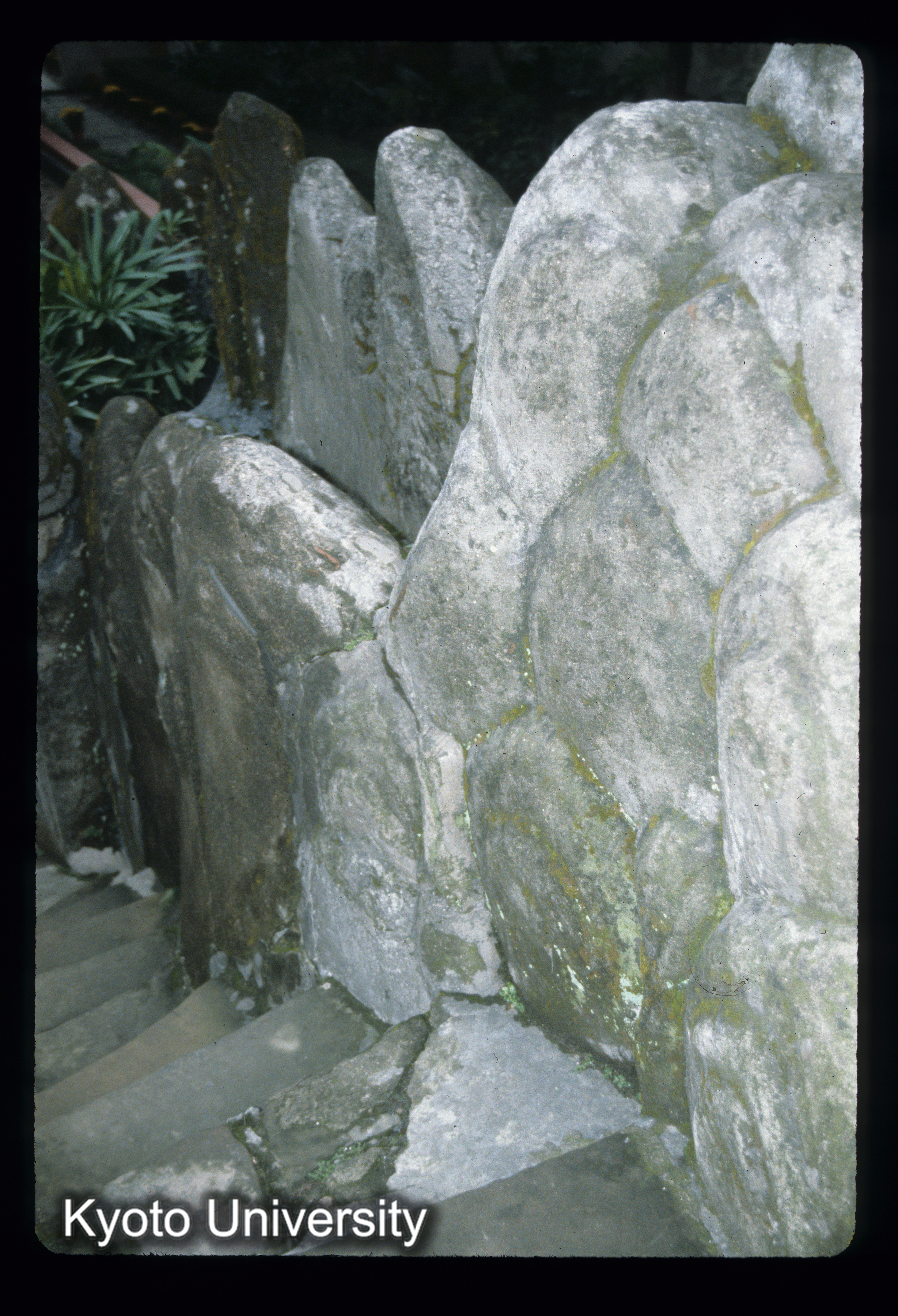 ［スライド］ (1)