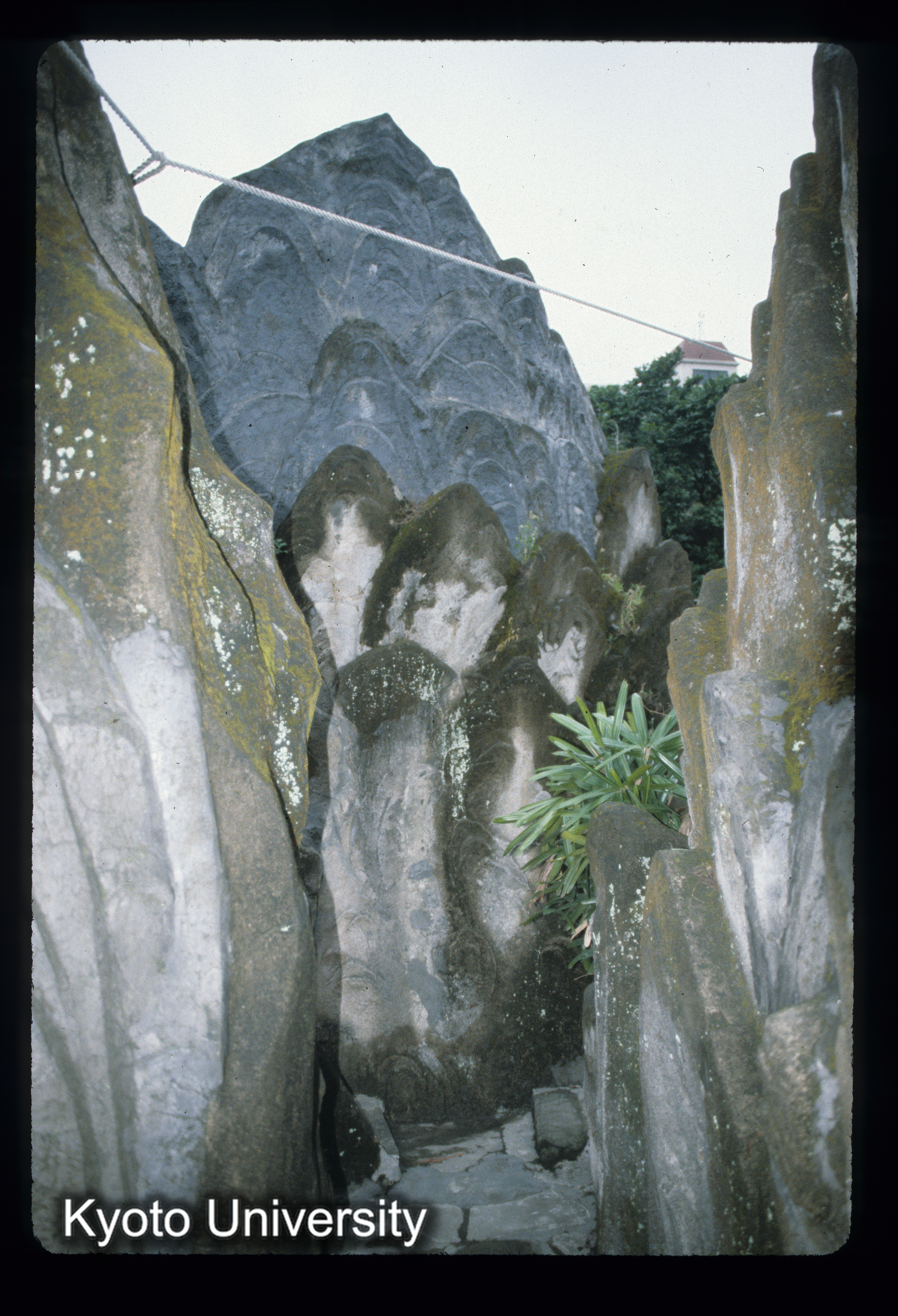 ［スライド］ (1)