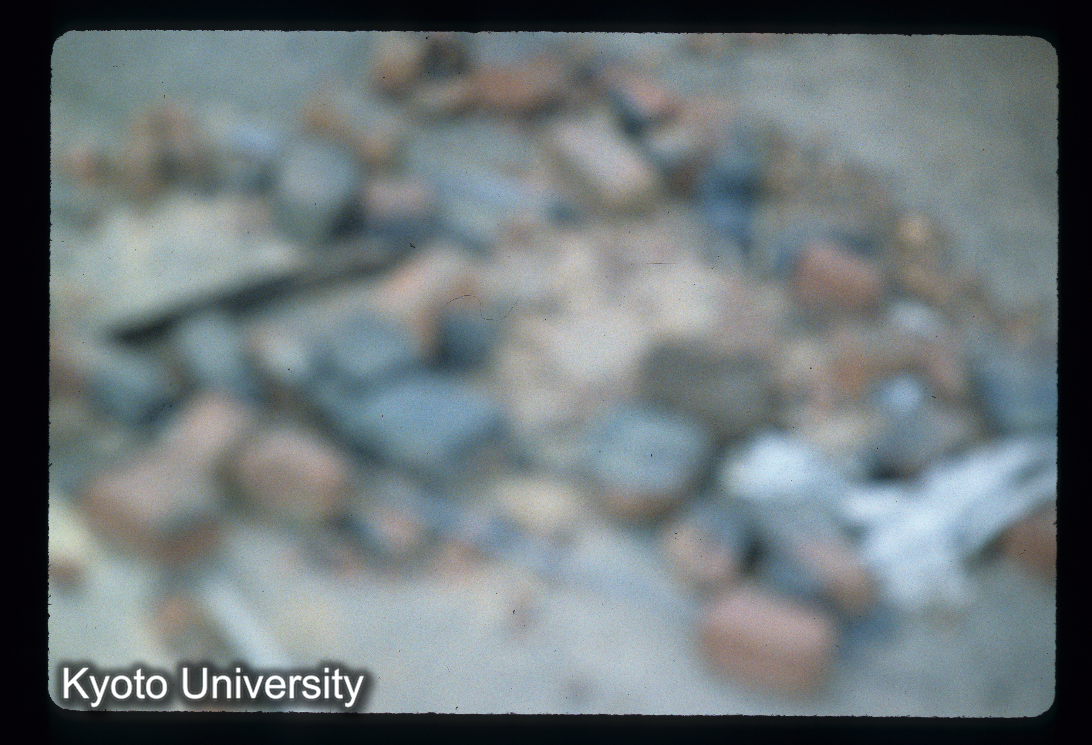 ［スライド］ (1)