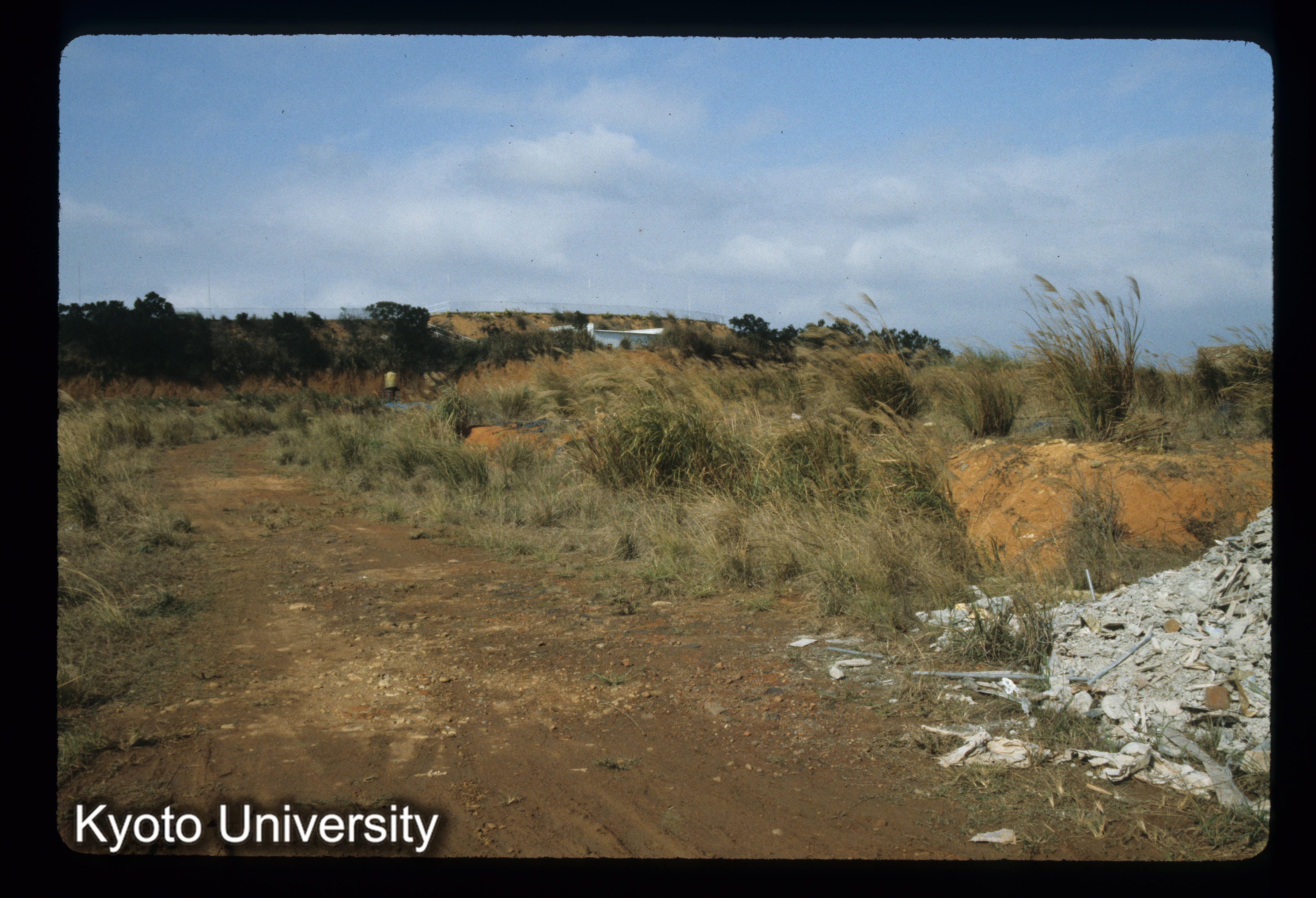 ［スライド］ (1)