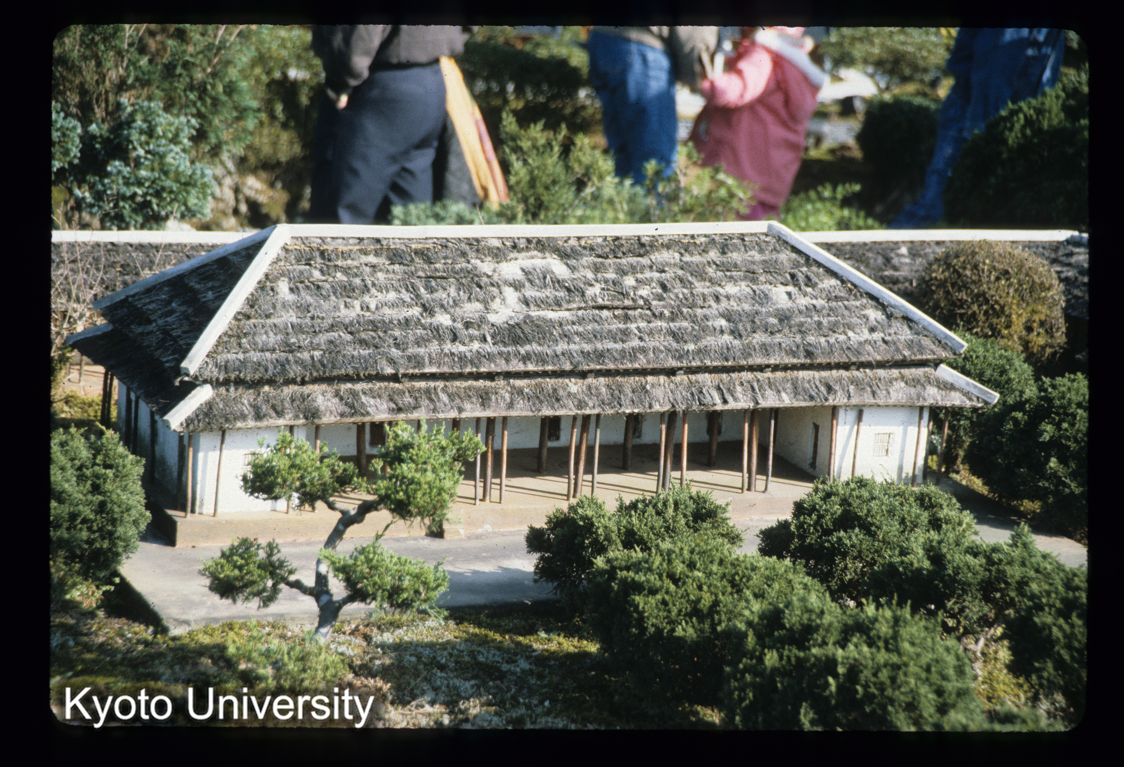 ［スライド］ (1)