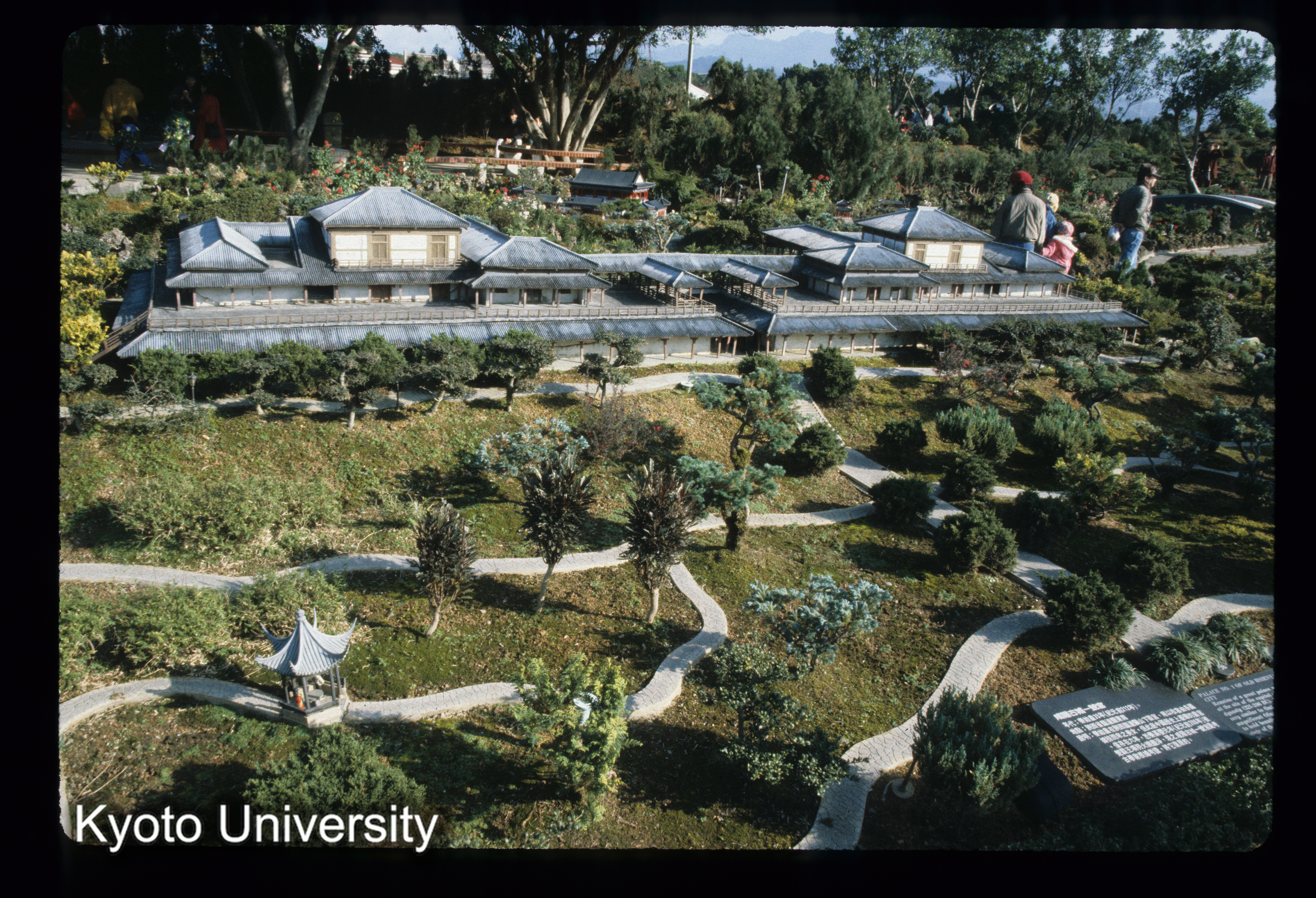 ［スライド］ (1)