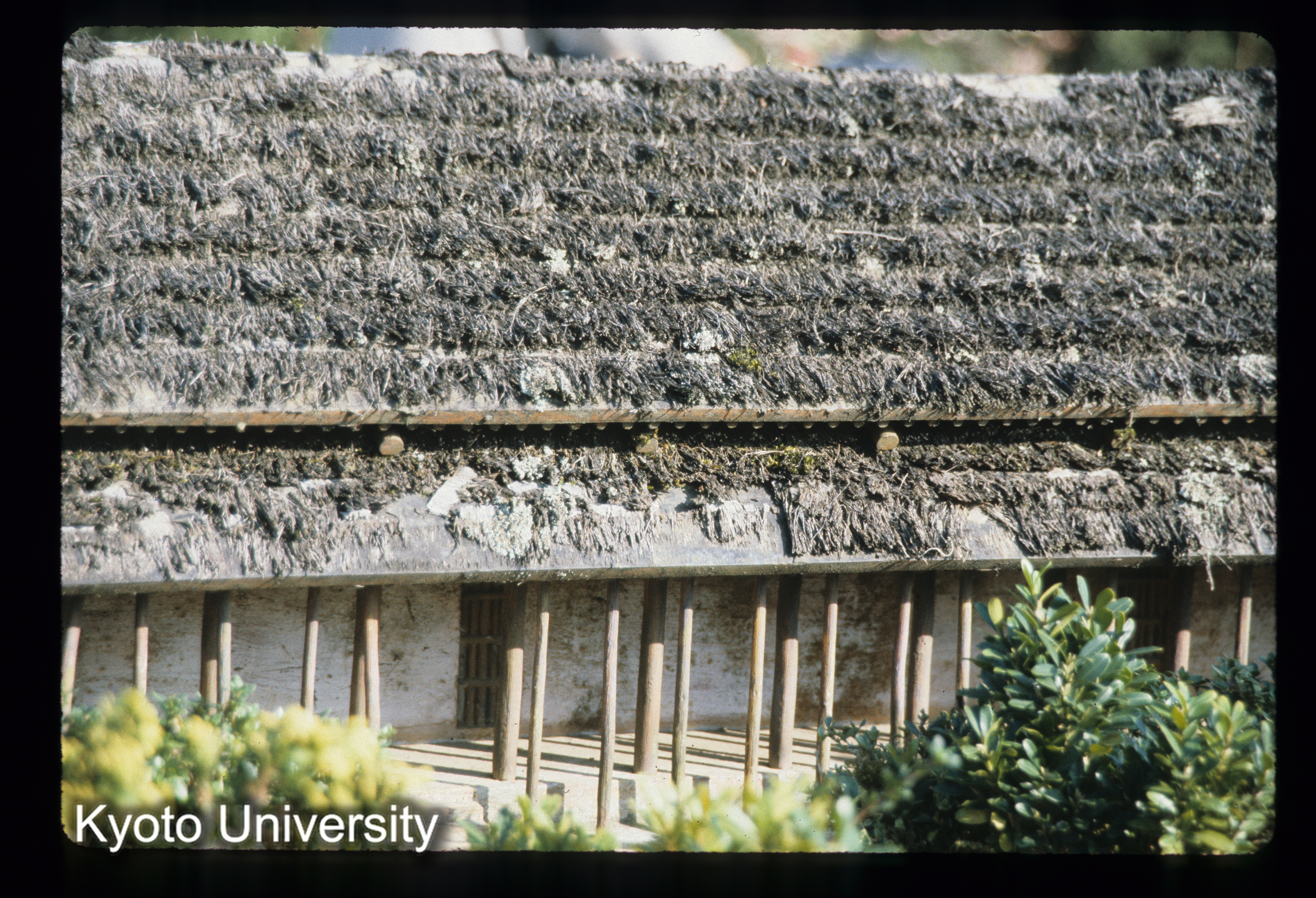 ［スライド］ (1)