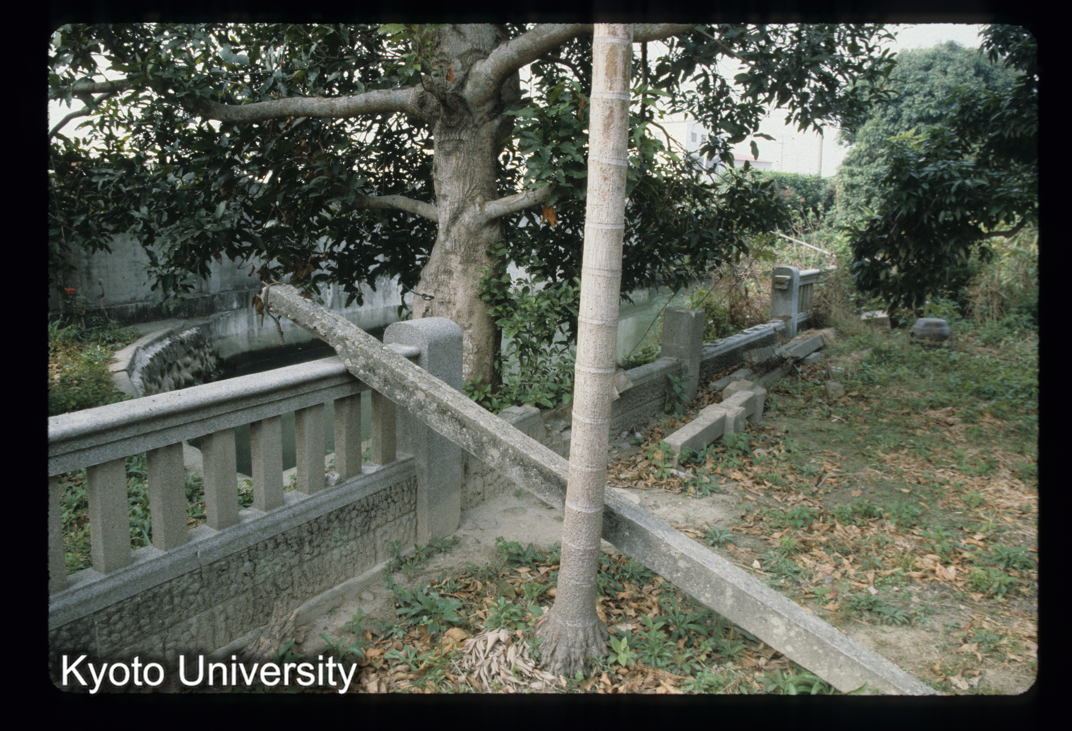 ［スライド］ (1)