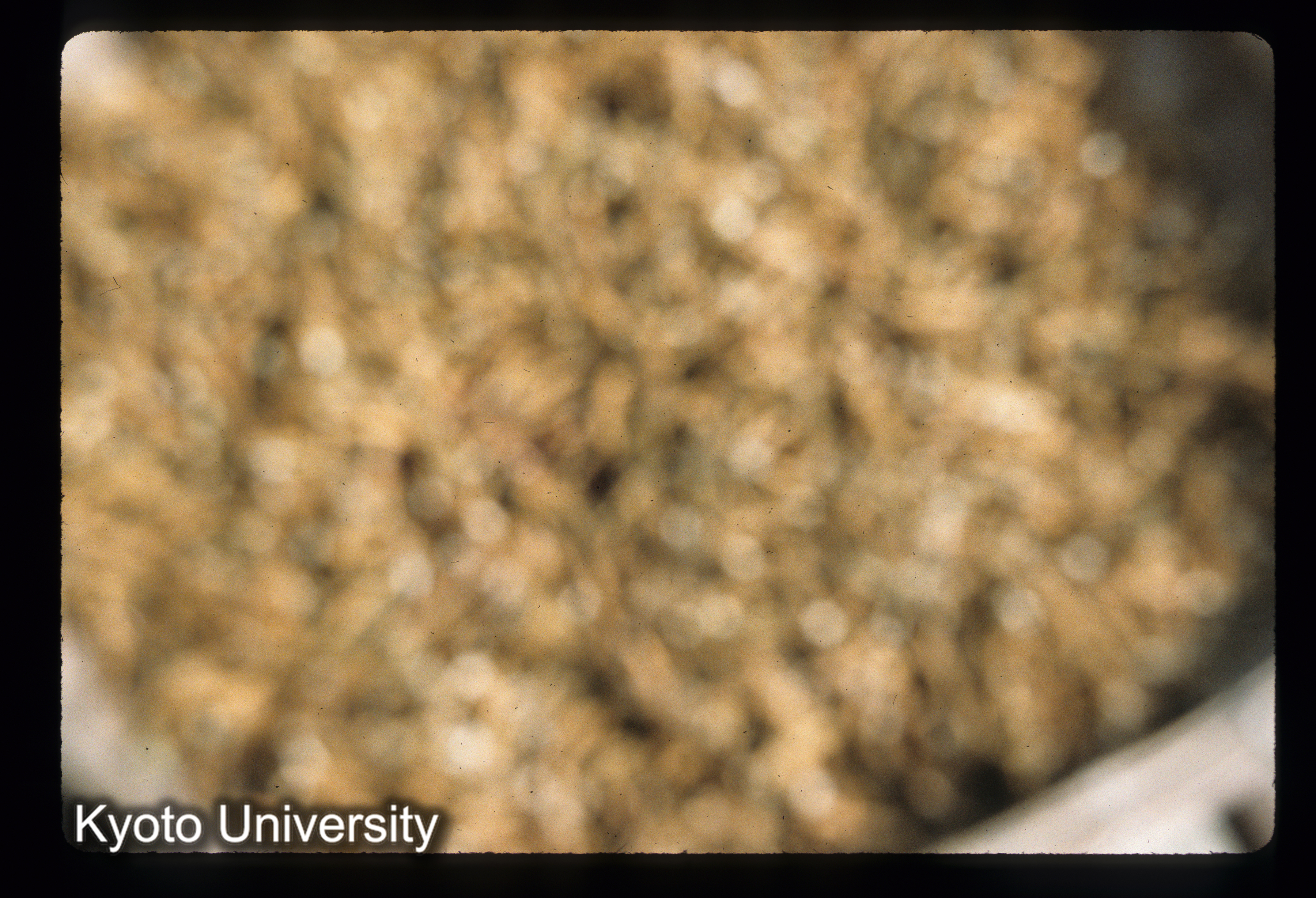 ［スライド］ (1)