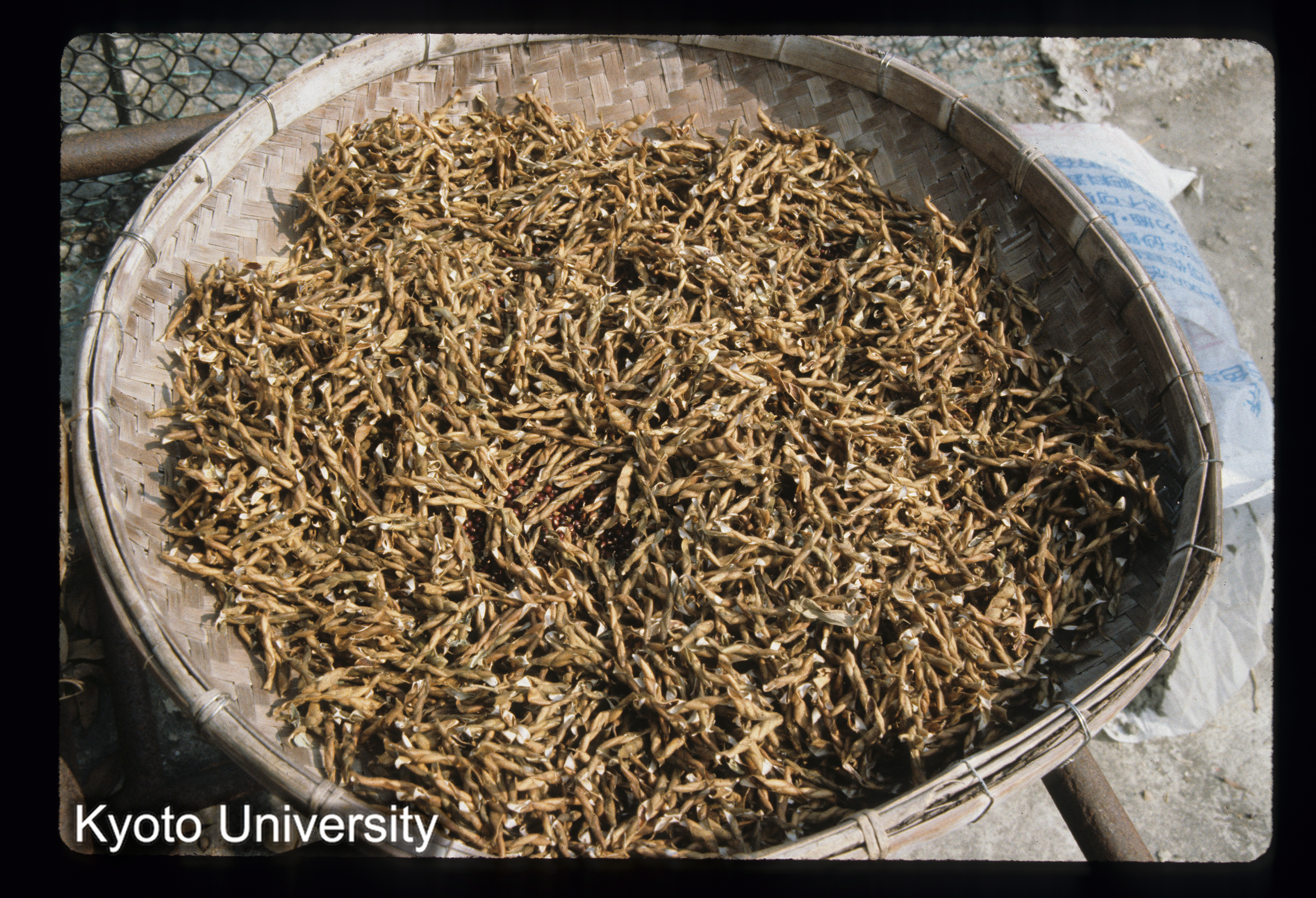 ［スライド］ (1)