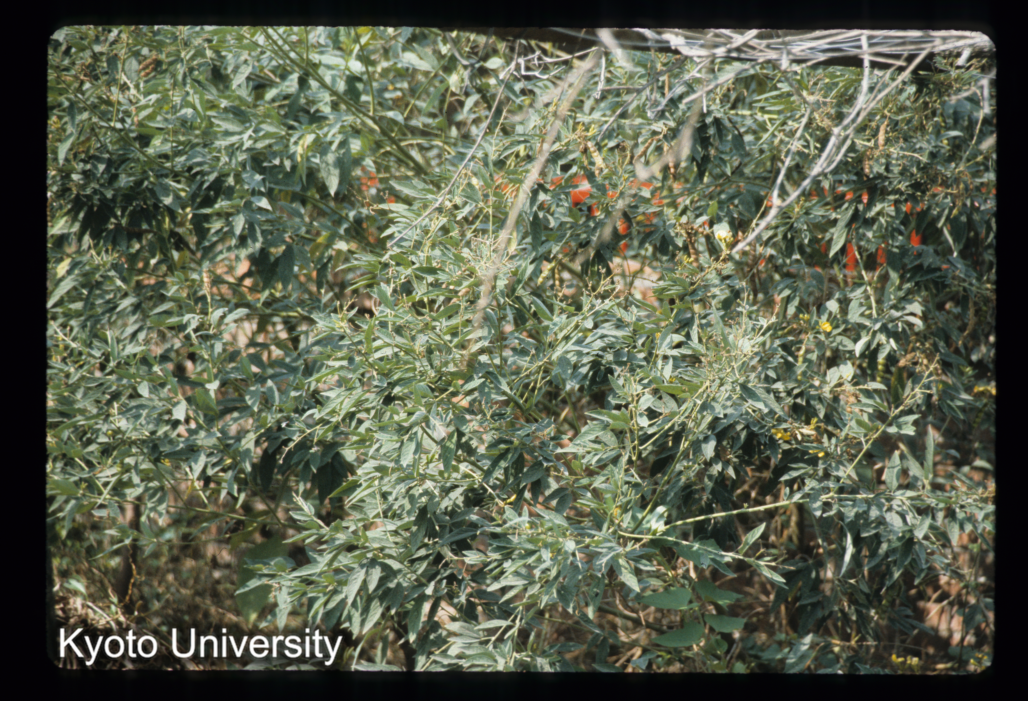 ［スライド］ (1)