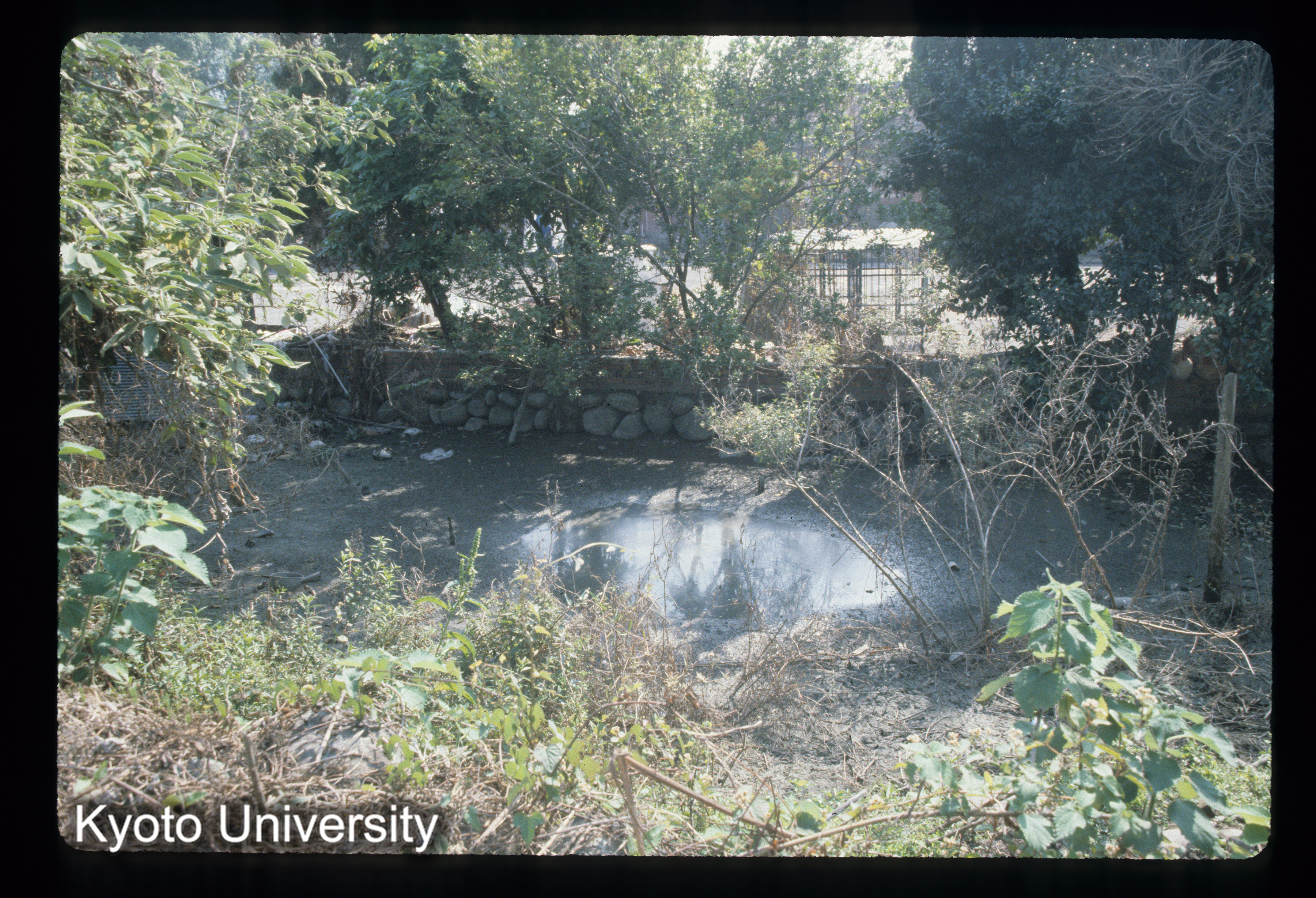 ［スライド］ (1)