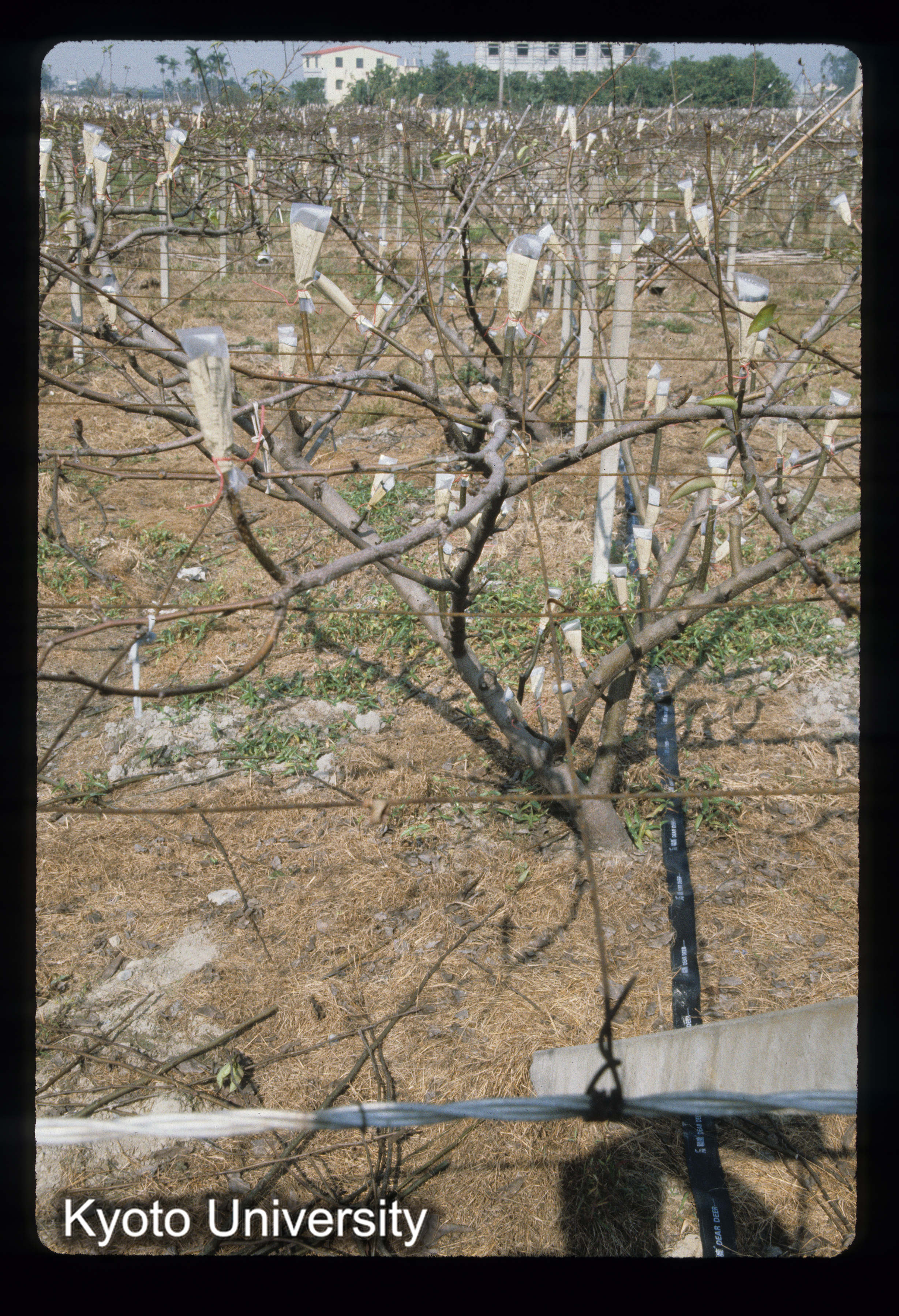 ［スライド］ (1)