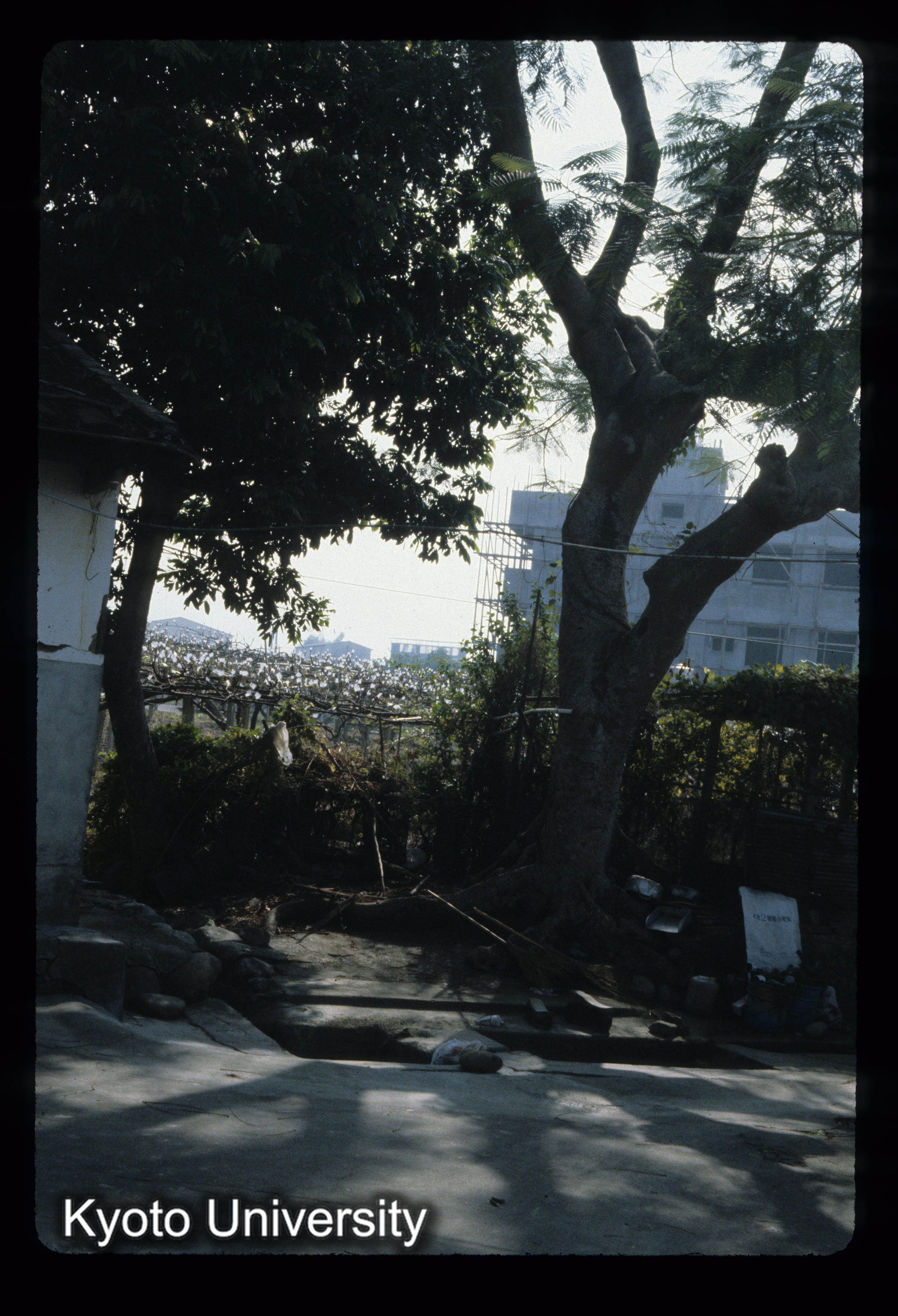 ［スライド］ (1)