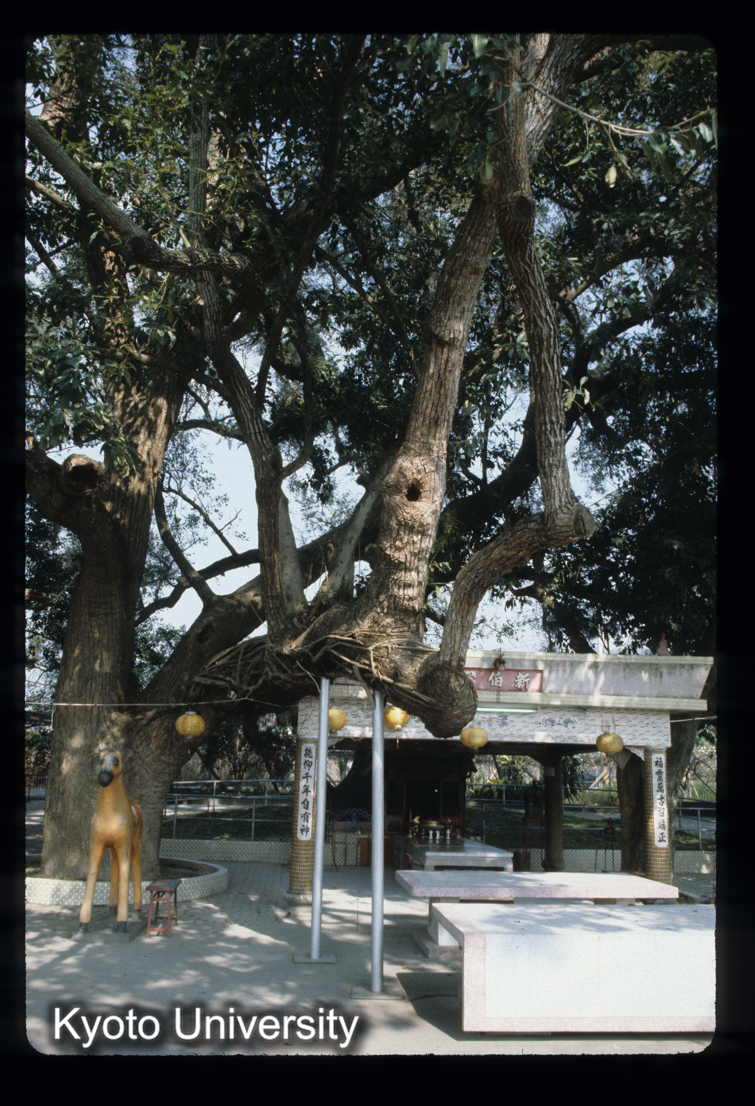 ［スライド］ (1)