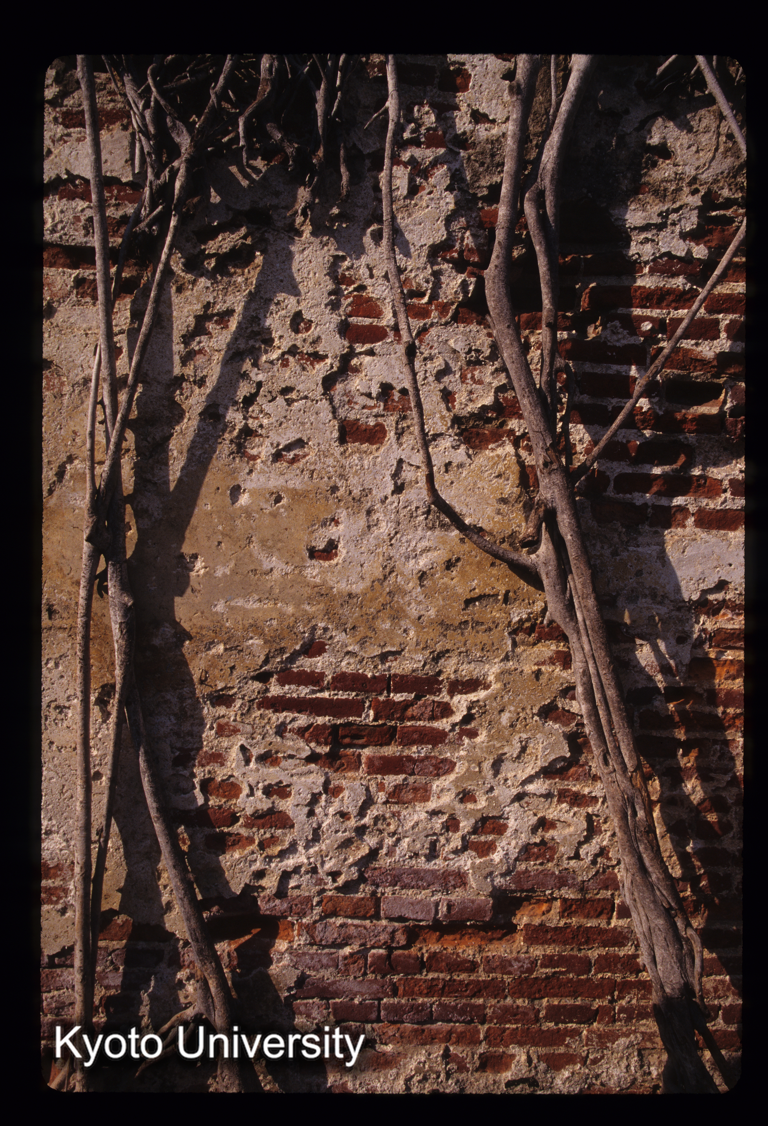 ［スライド］ (1)