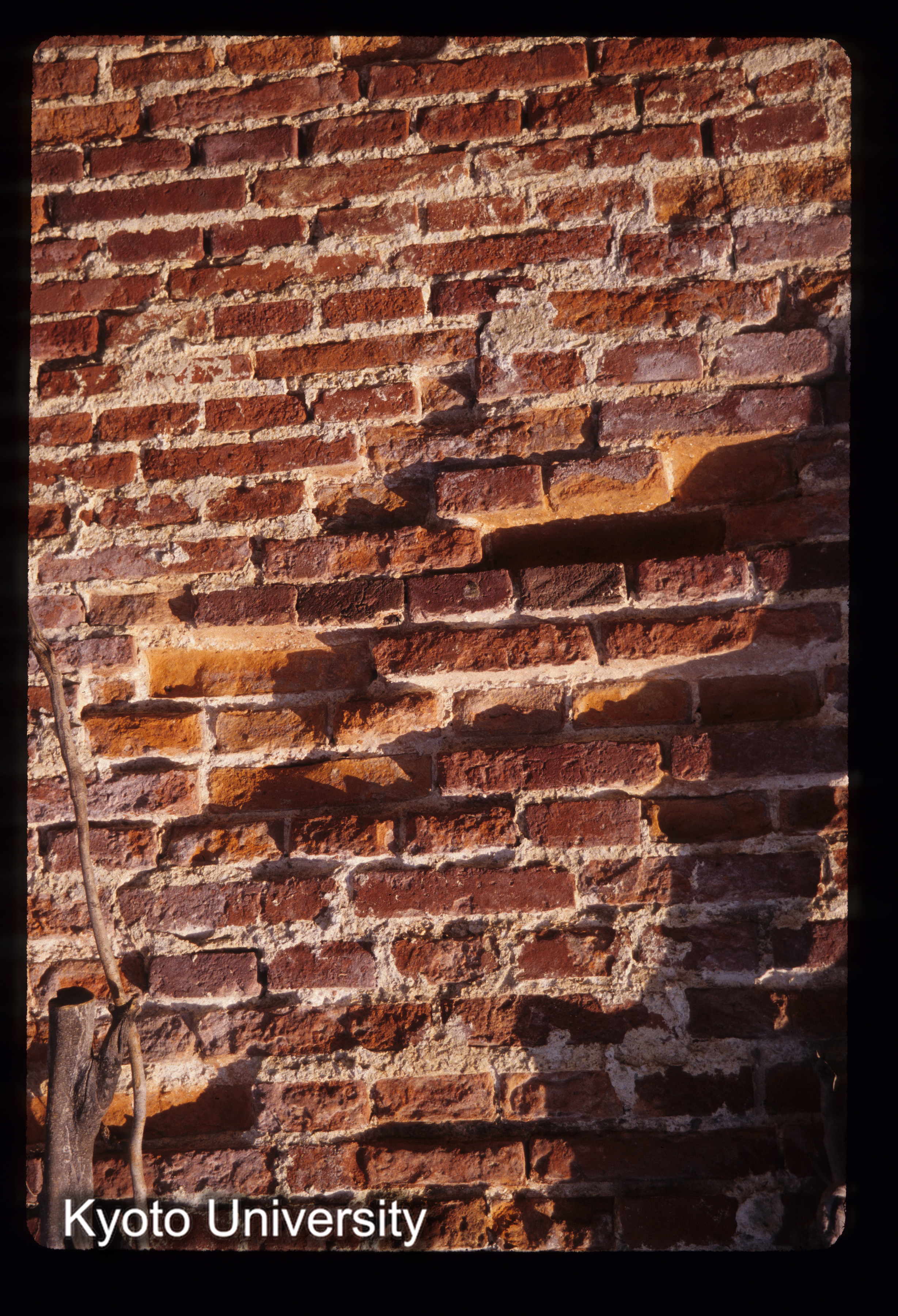 ［スライド］ (1)