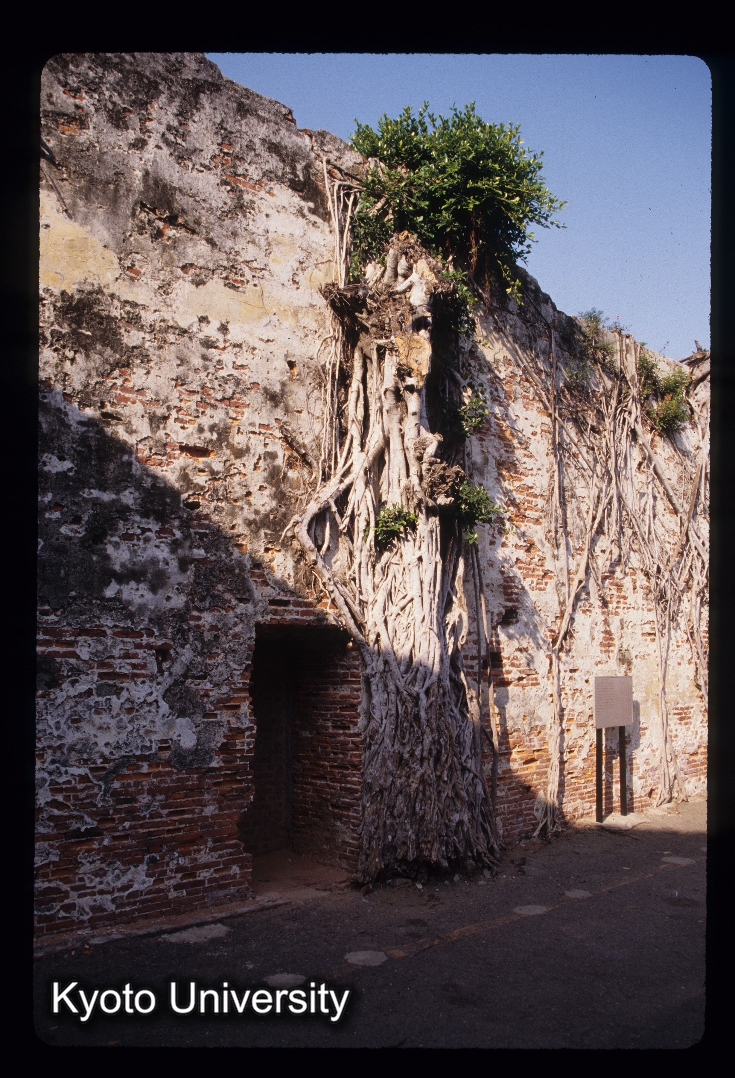 ［スライド］ (1)