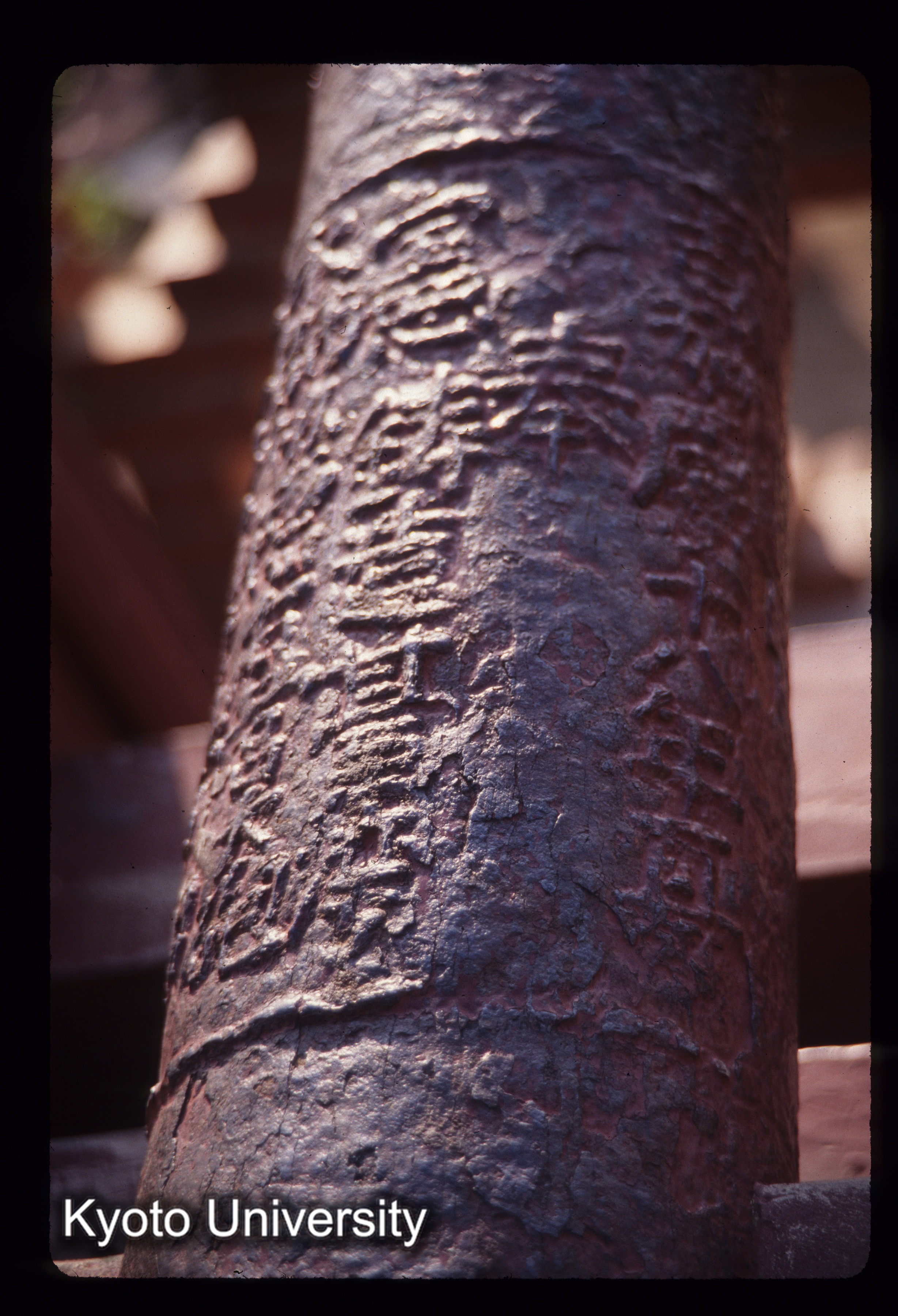 ［スライド］ (1)