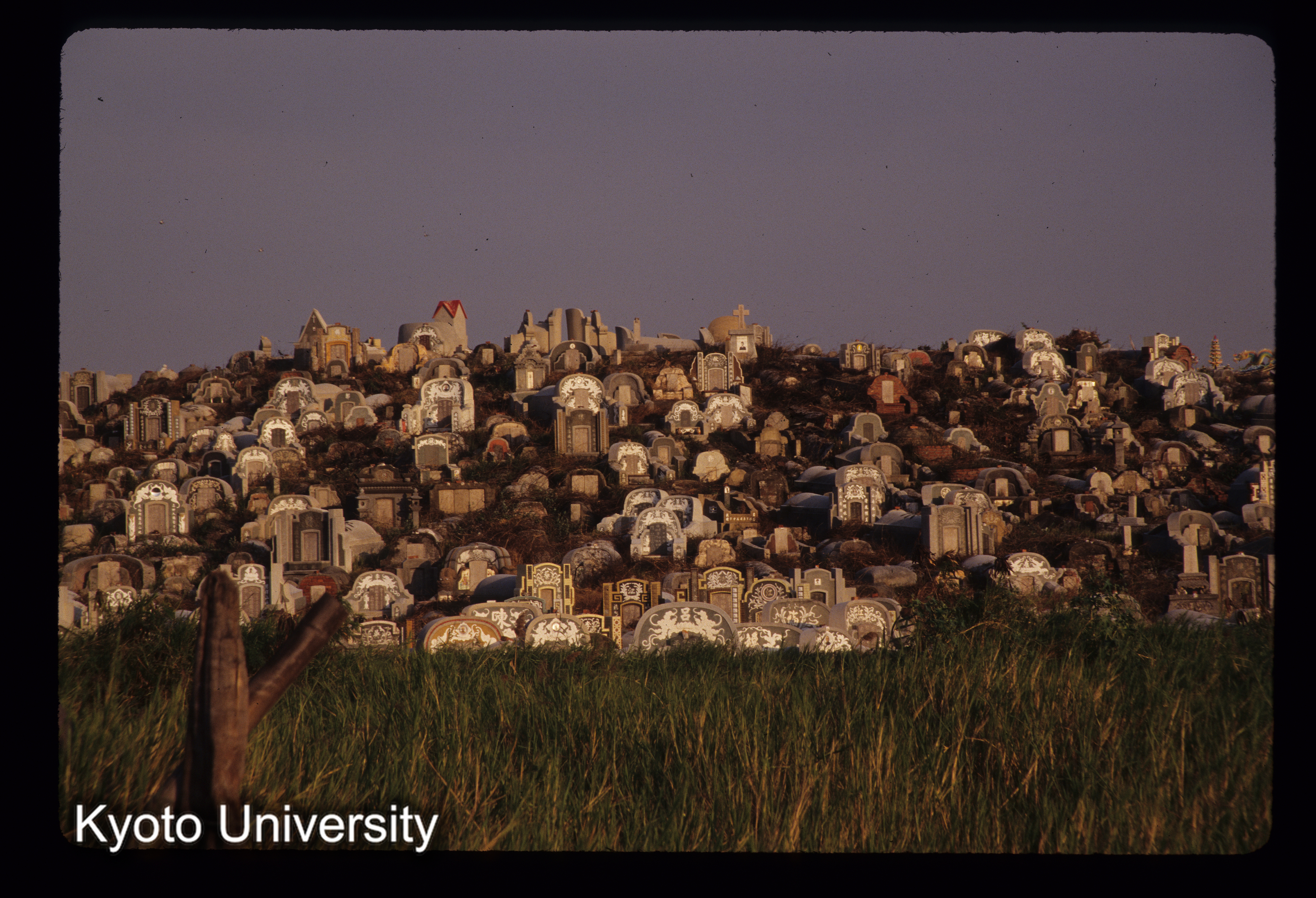 ［スライド］ (1)