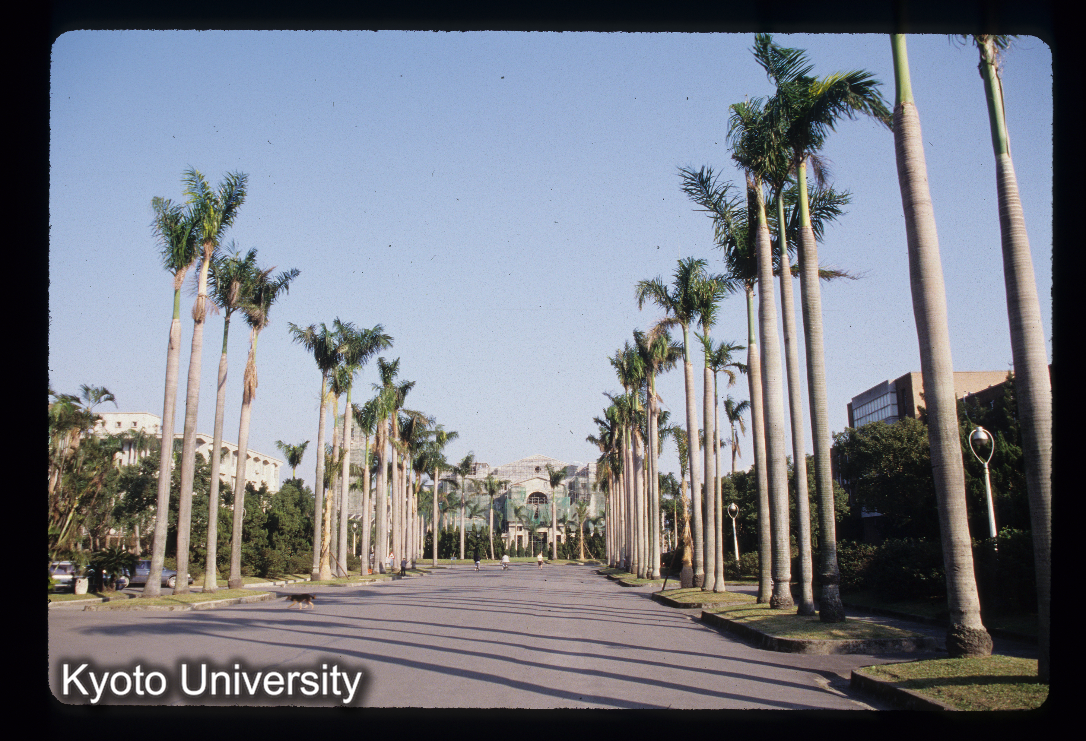 ［スライド］ (1)