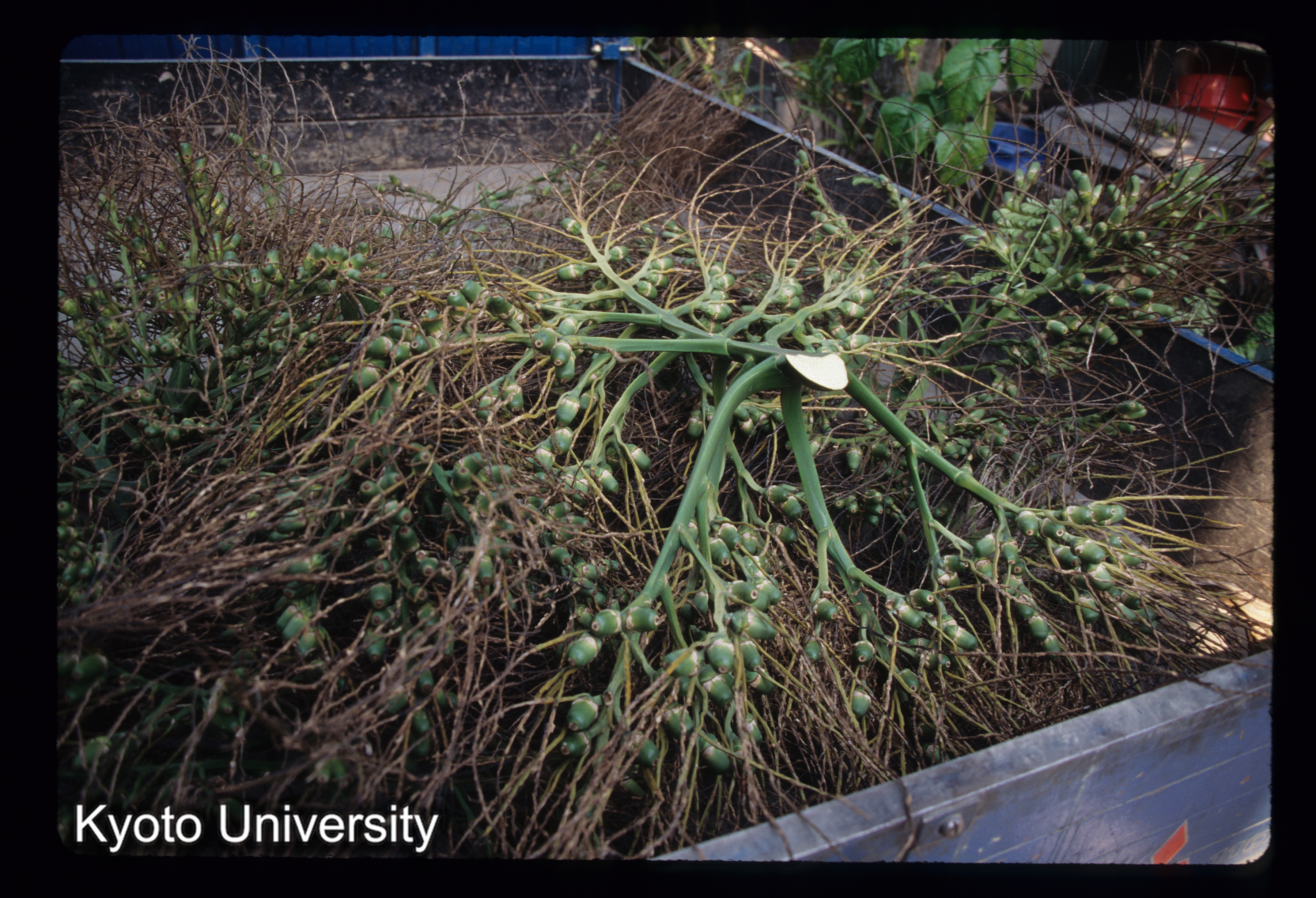 ［スライド］ (1)