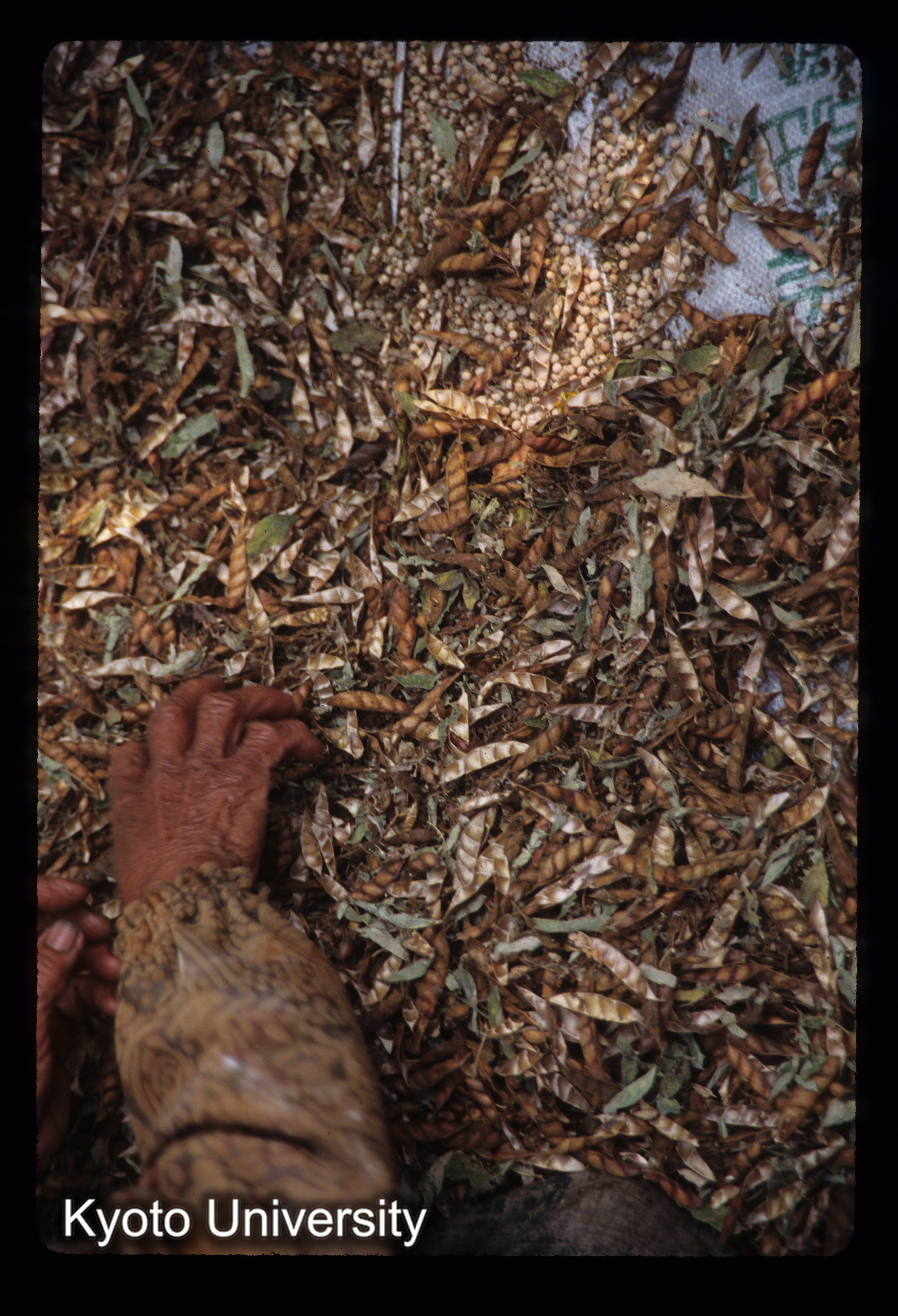 ［スライド］ (1)