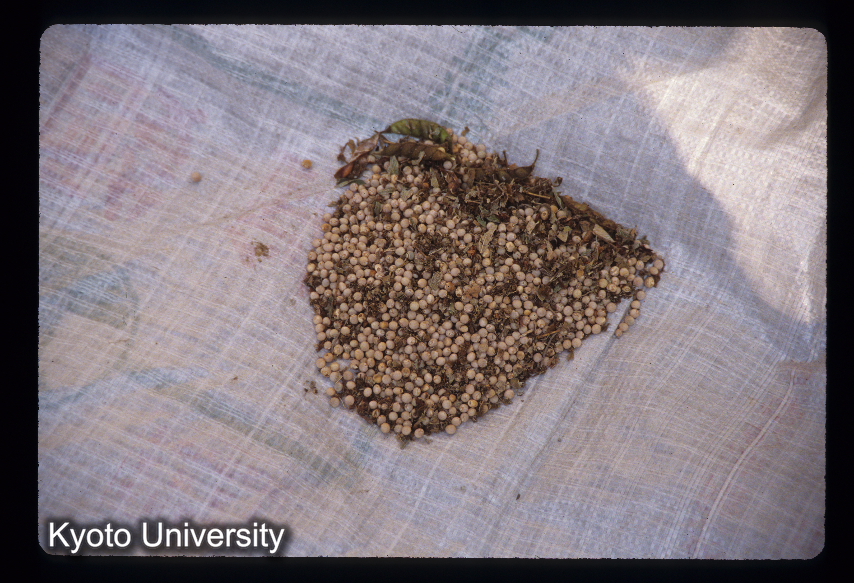 ［スライド］ (1)