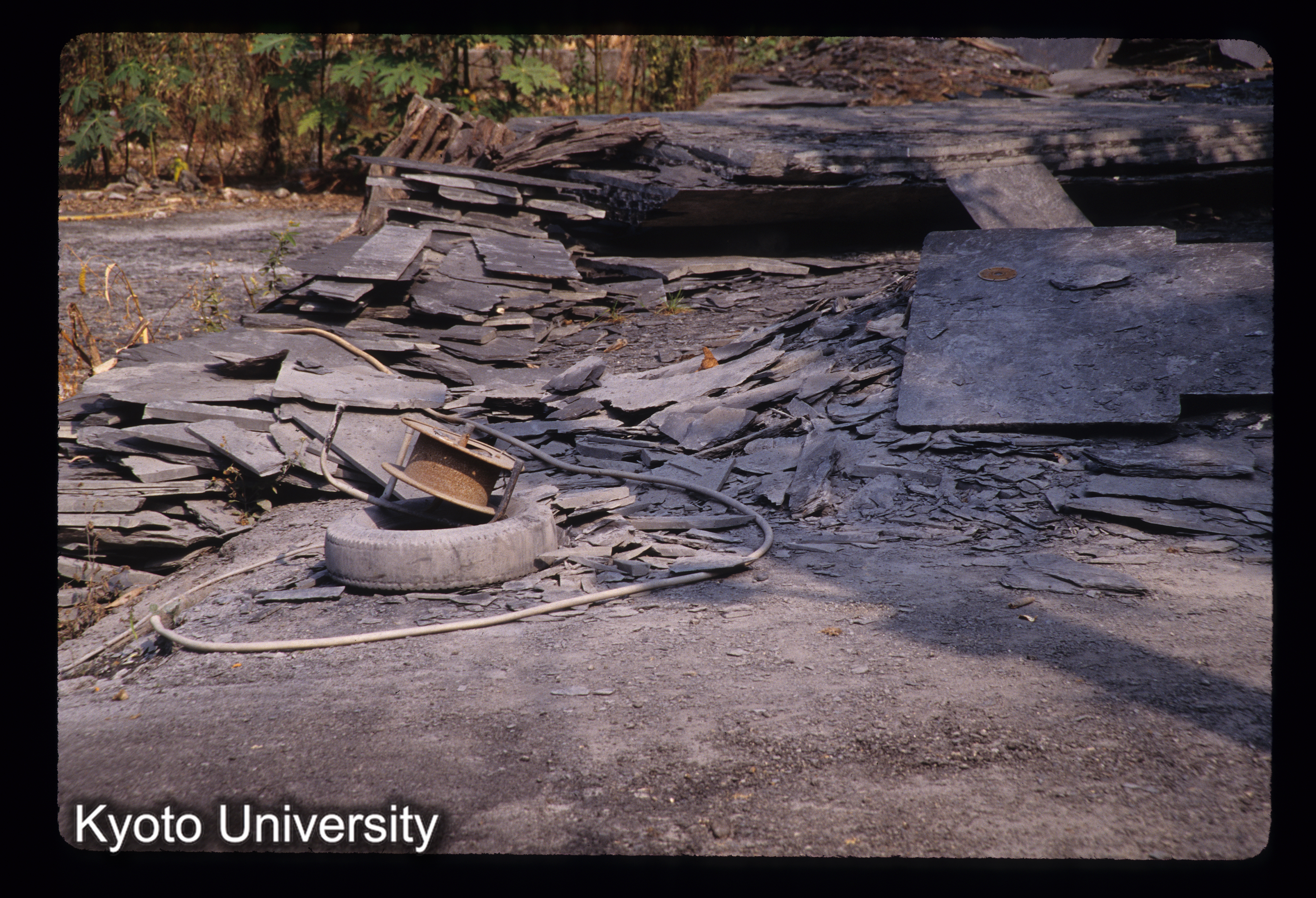 ［スライド］ (1)