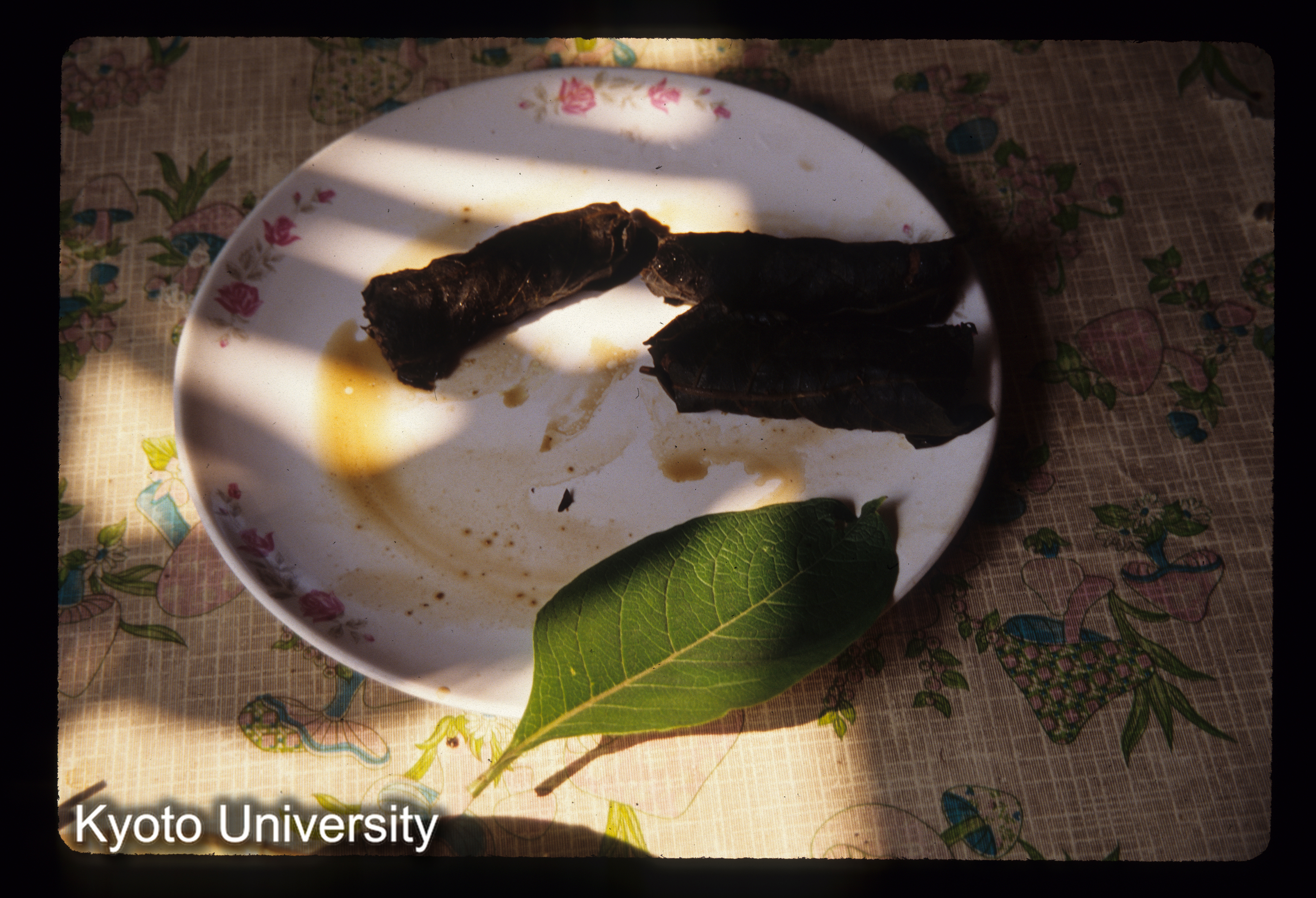 ［スライド］ (1)