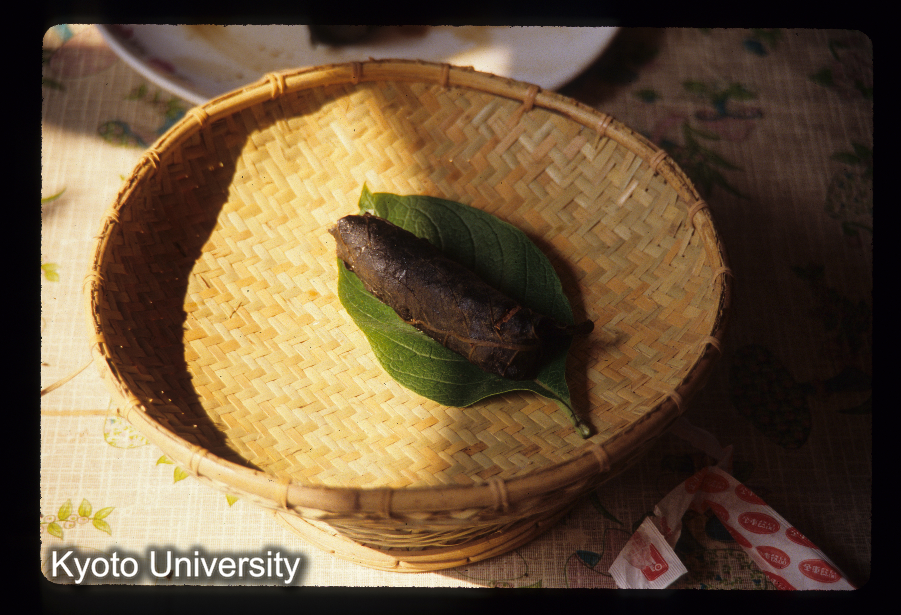 ［スライド］ (1)