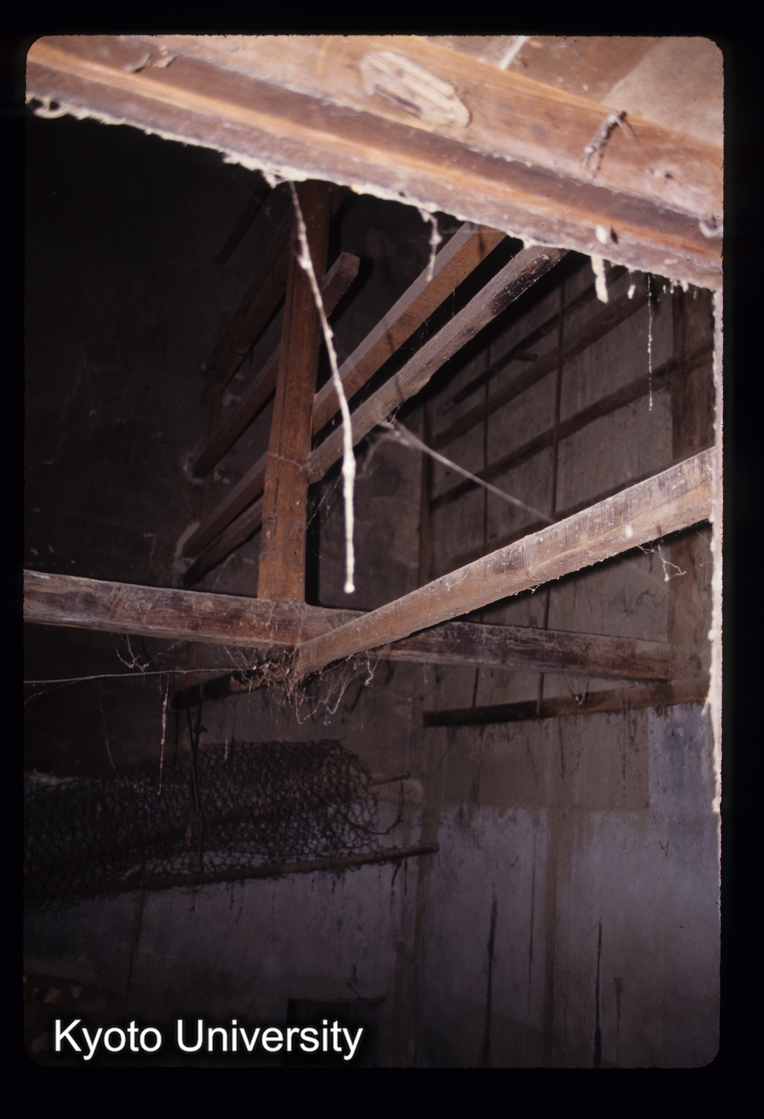 ［スライド］ (1)