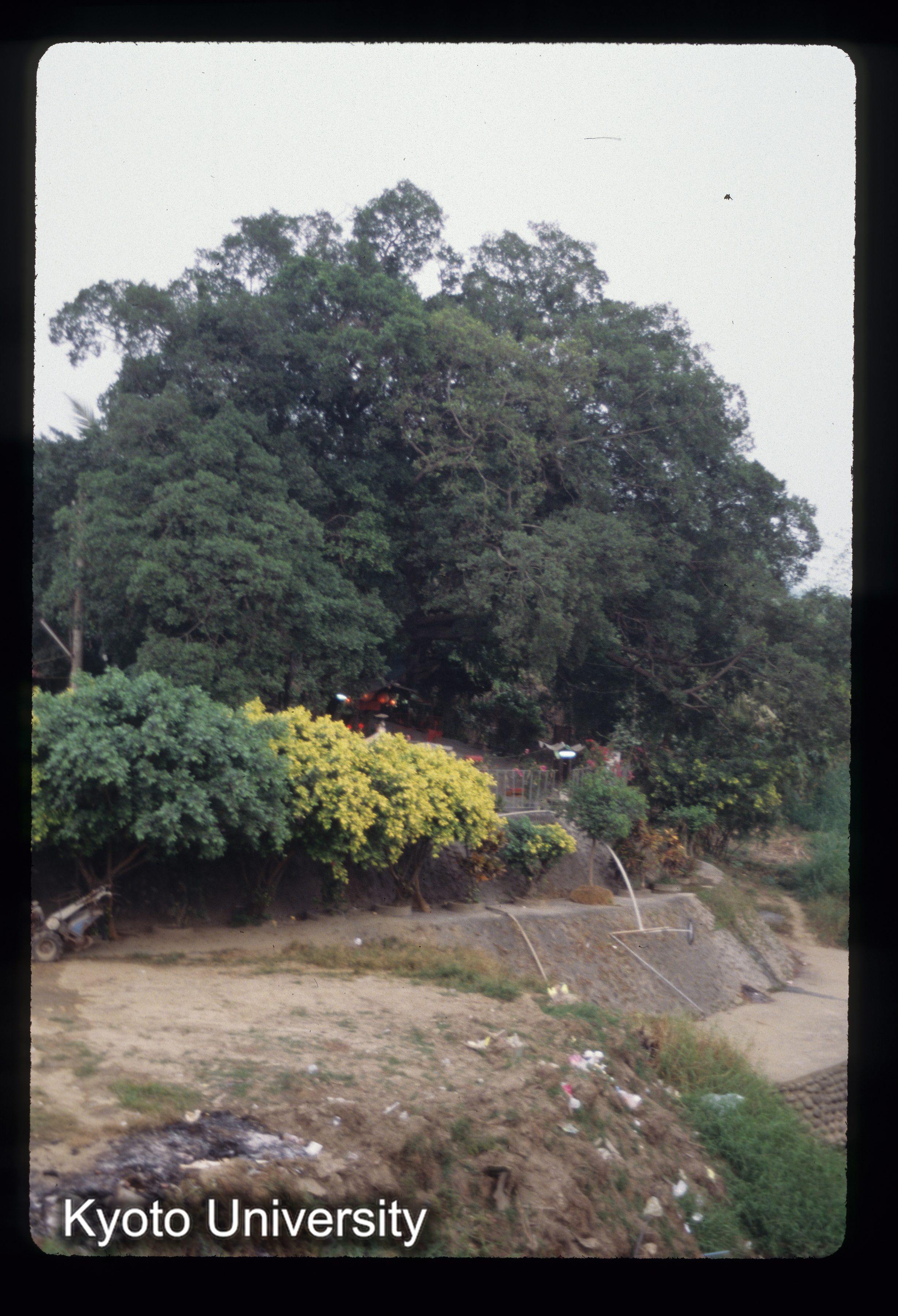 ［スライド］ (1)