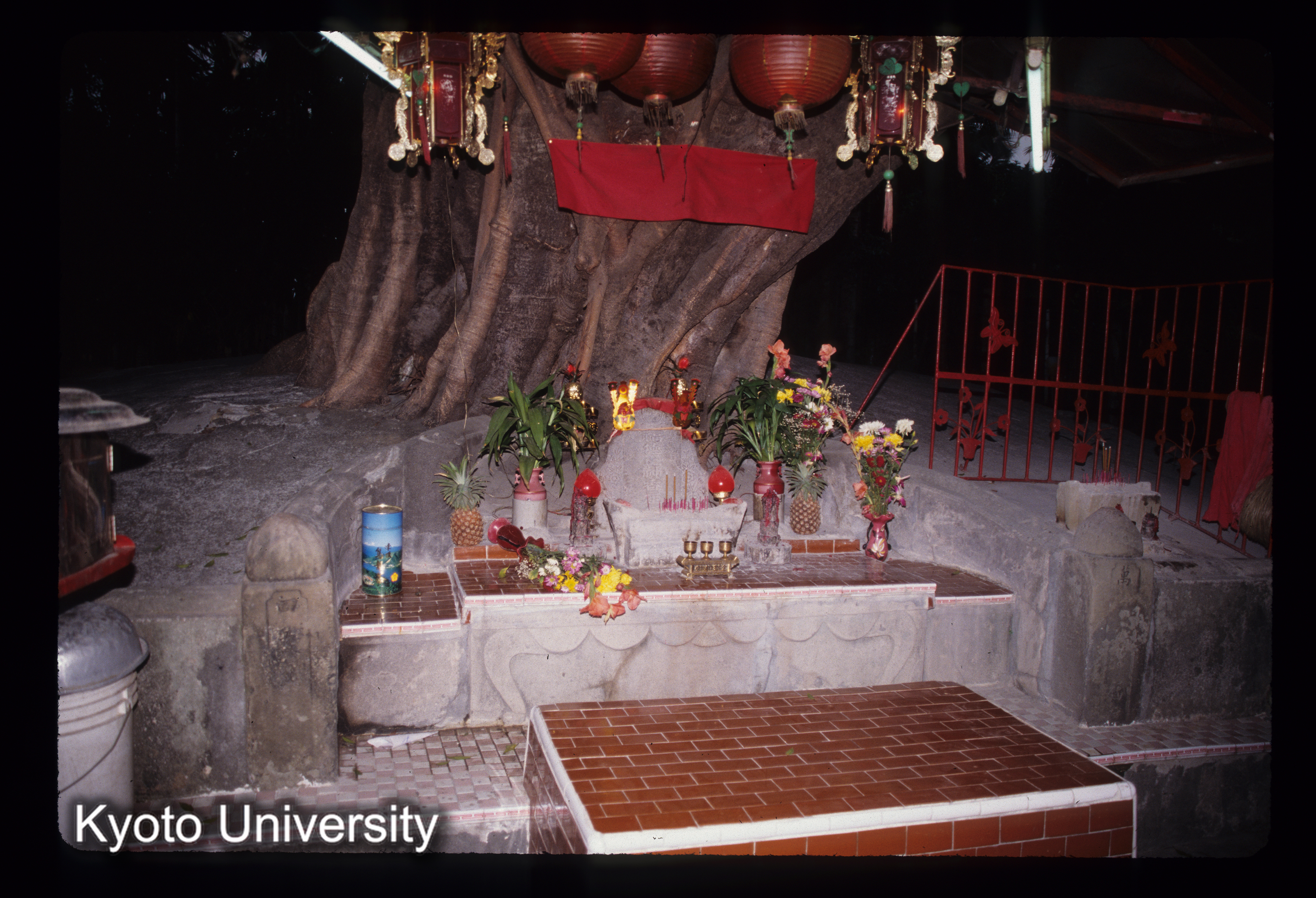 ［スライド］ (1)