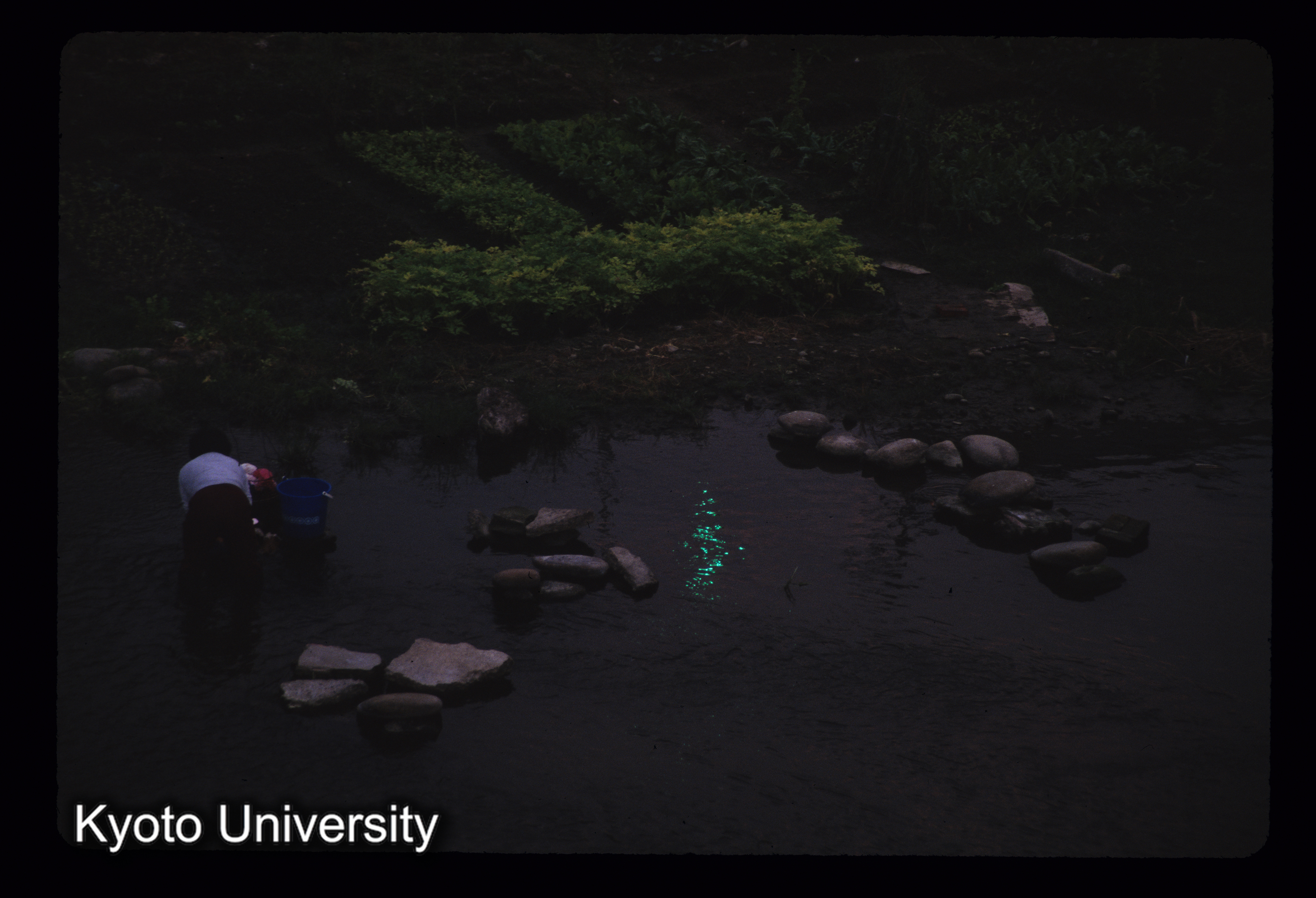 ［スライド］ (1)