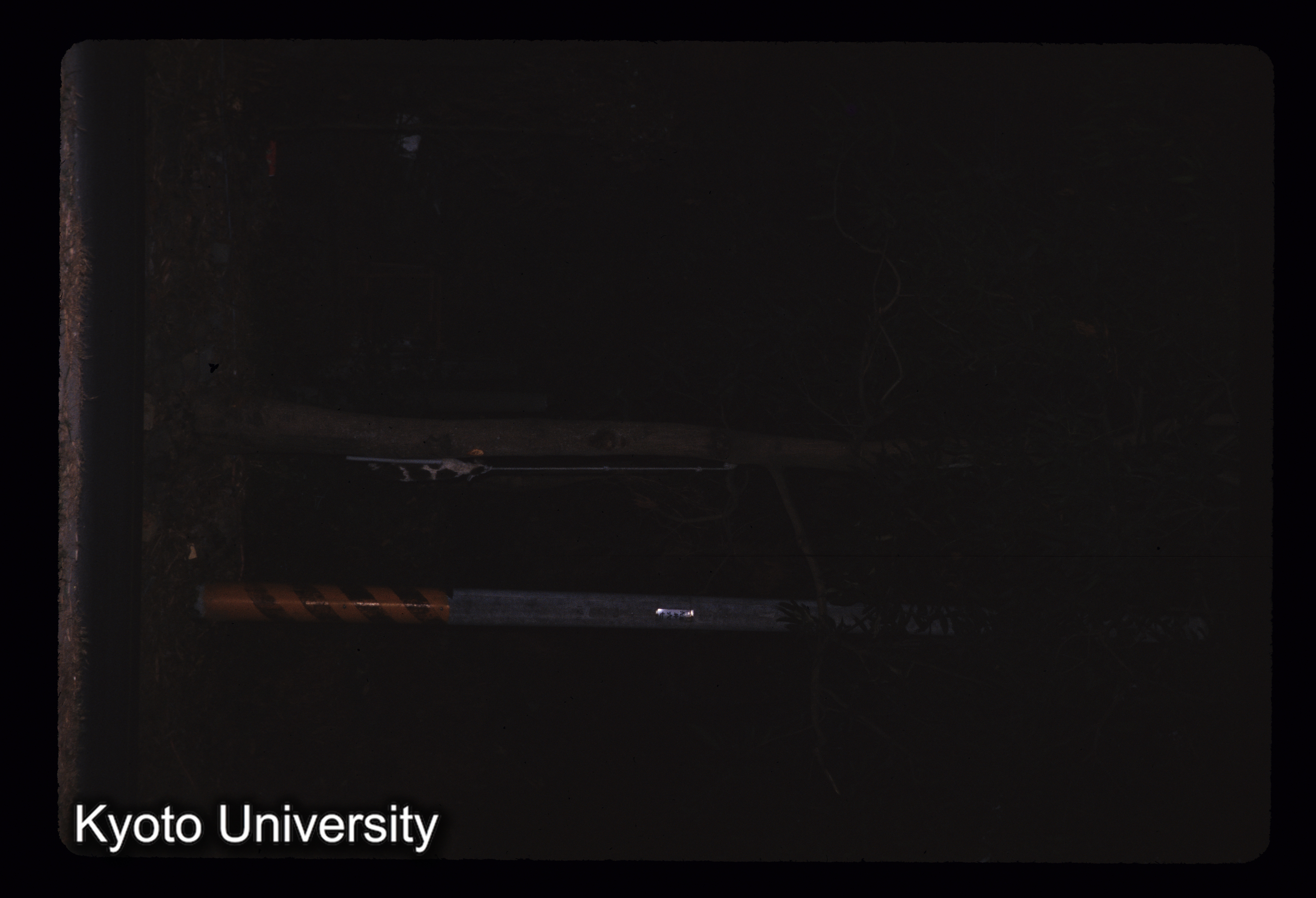 ［スライド］ (1)