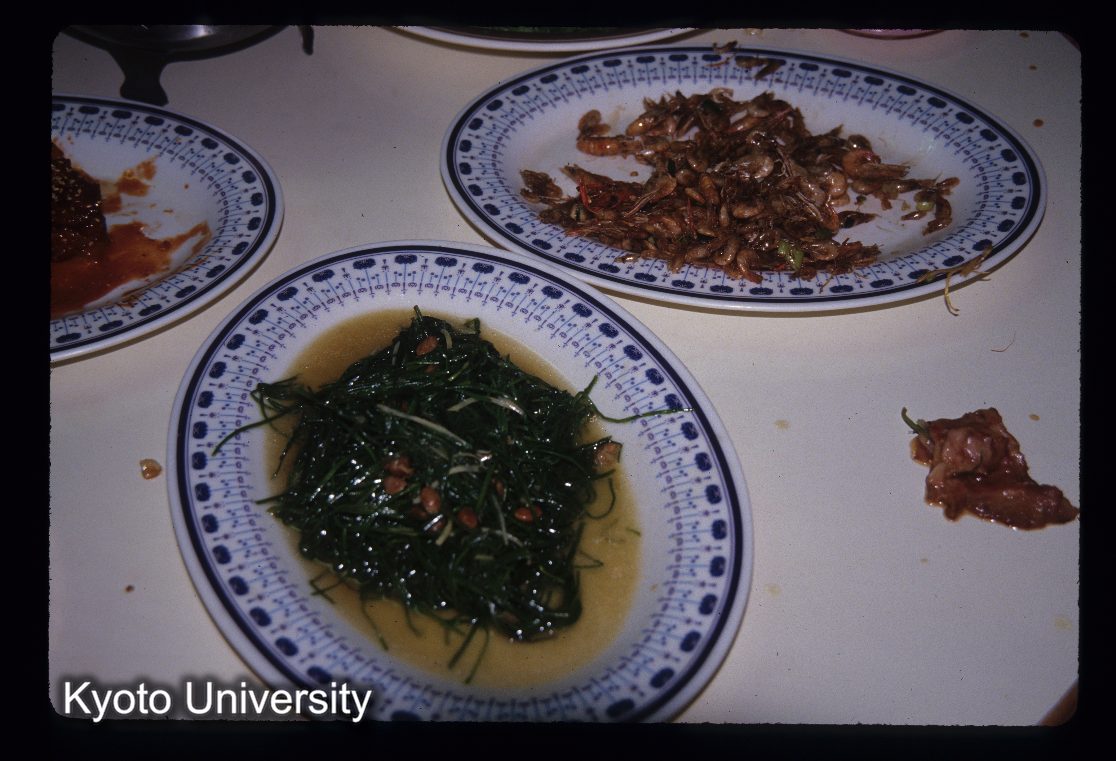 ［スライド］ (1)